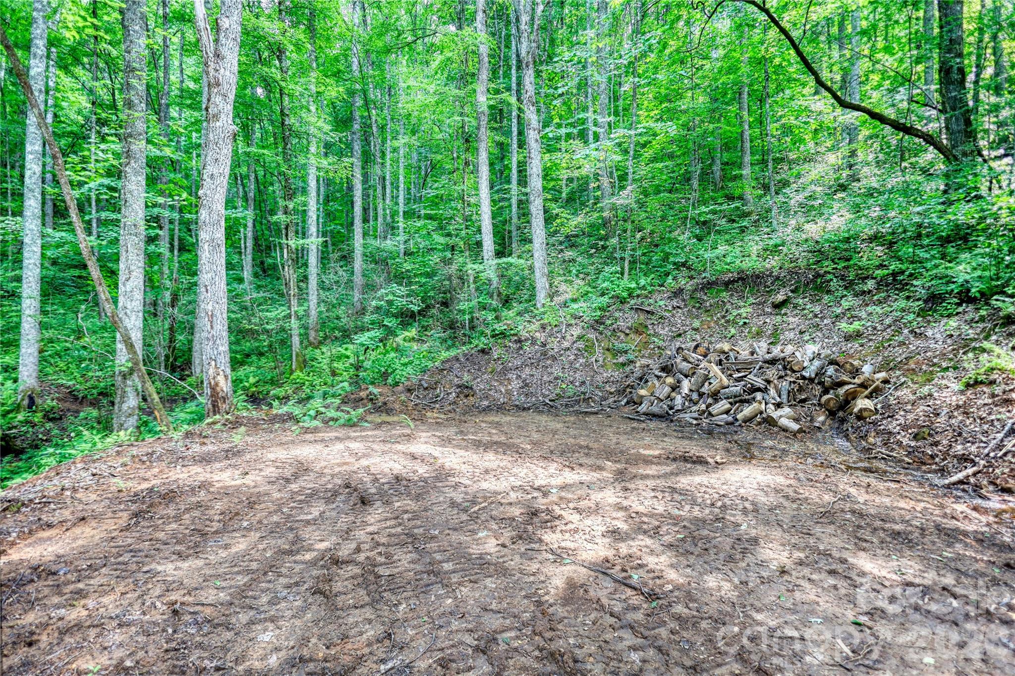 533 Enchanted Forest Drive Property Photo 11