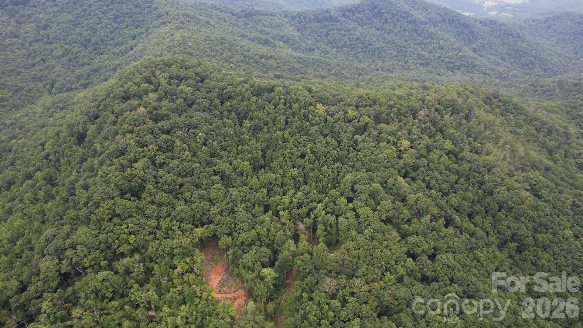 533 Enchanted Forest Drive Property Photo 12