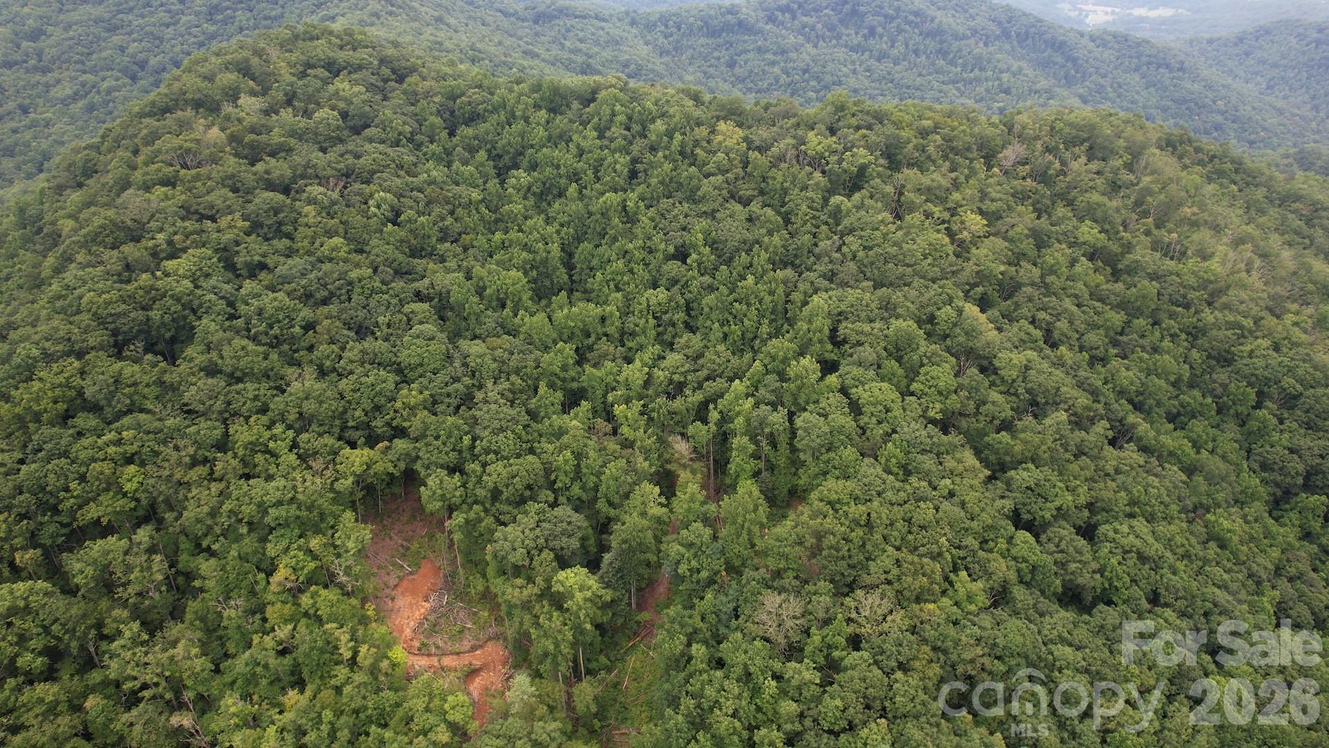 533 Enchanted Forest Drive Property Photo 13