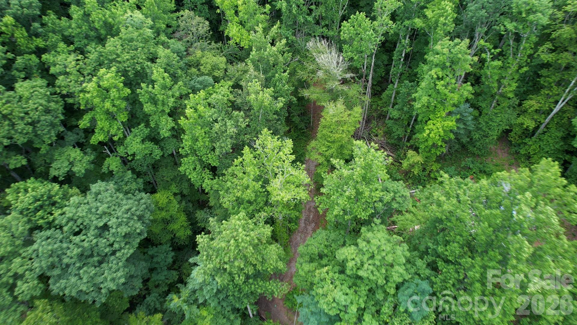 533 Enchanted Forest Drive Property Photo 14