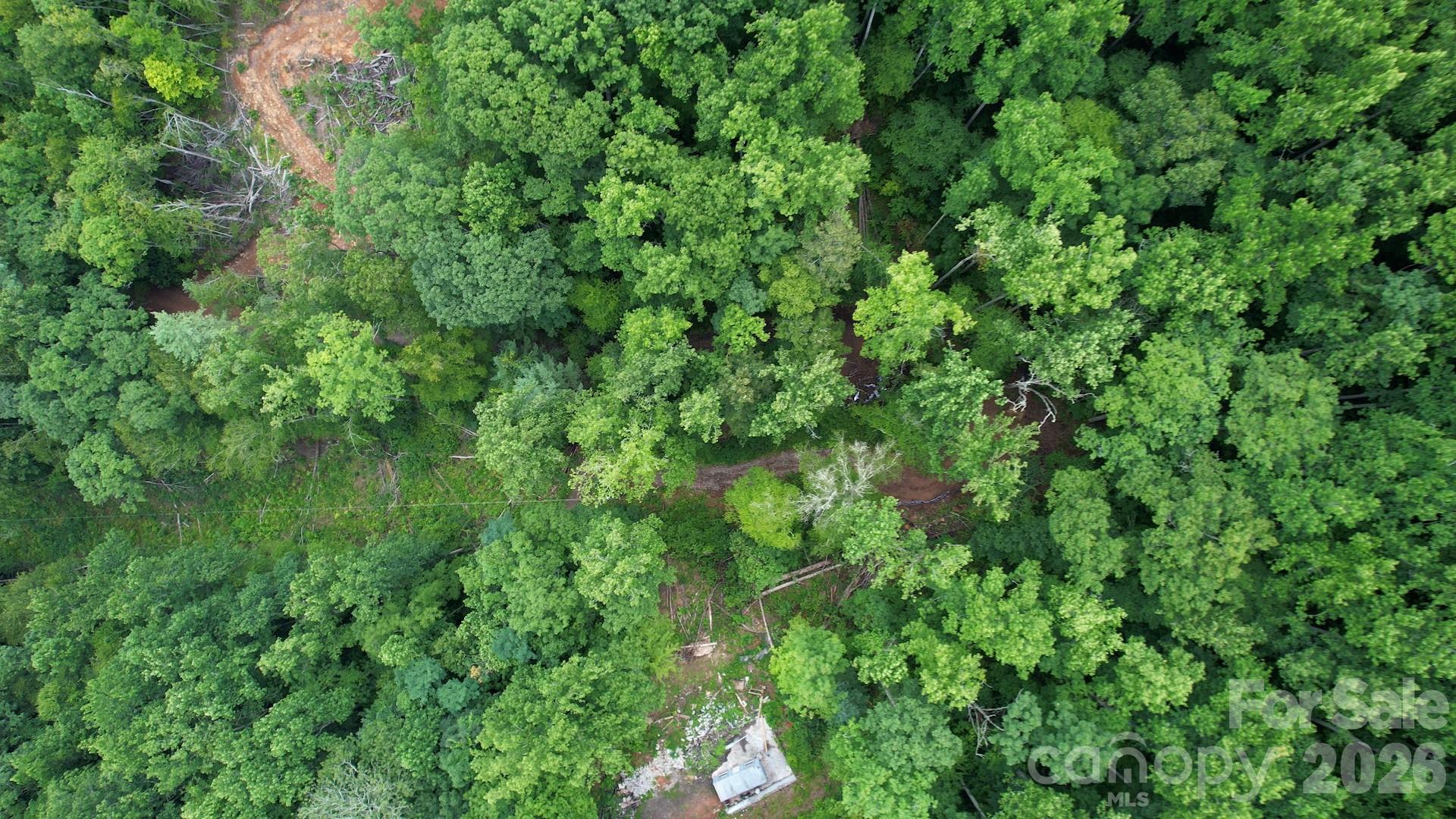 533 Enchanted Forest Drive Property Photo 15
