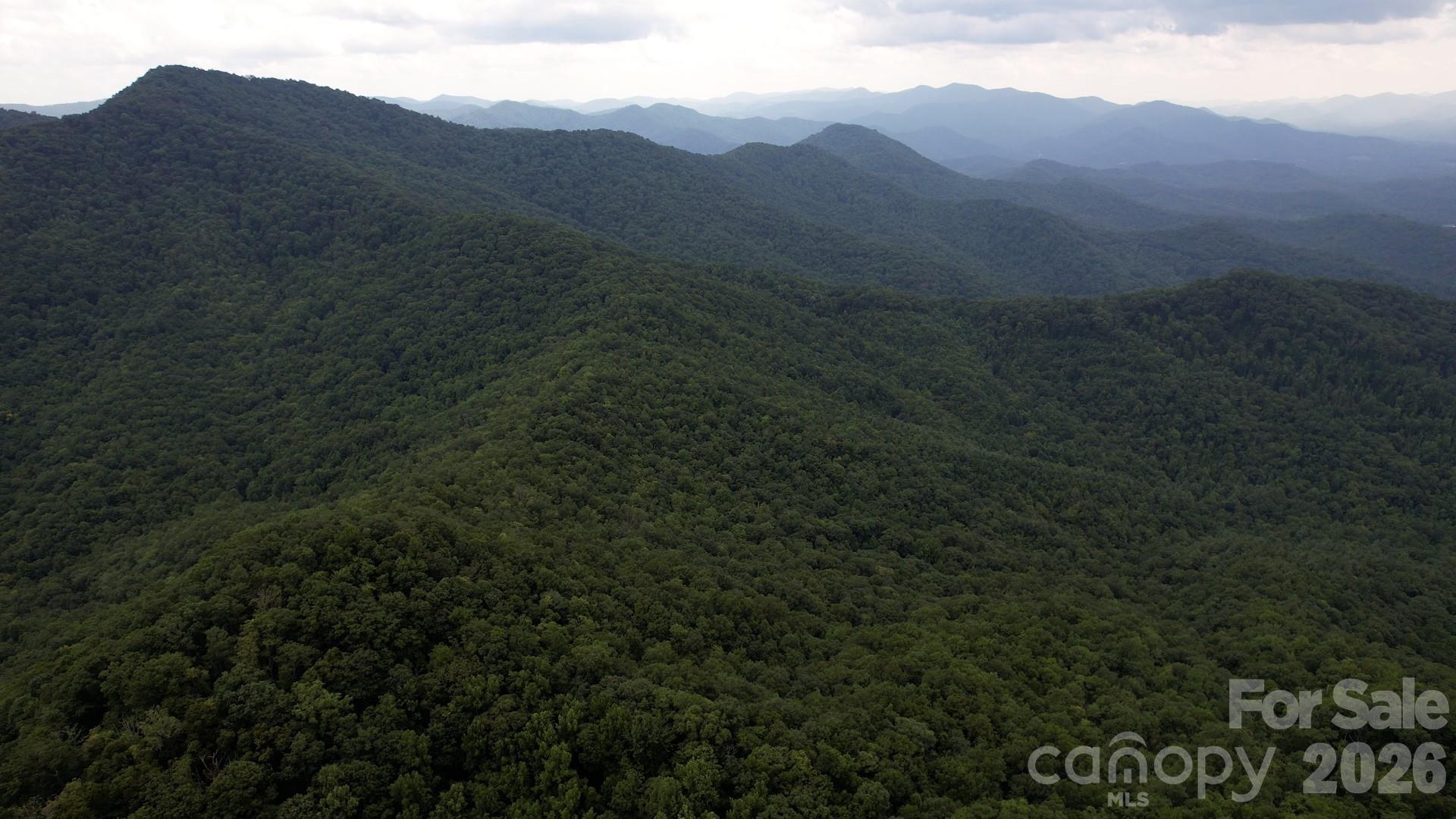 533 Enchanted Forest Drive Property Photo 19