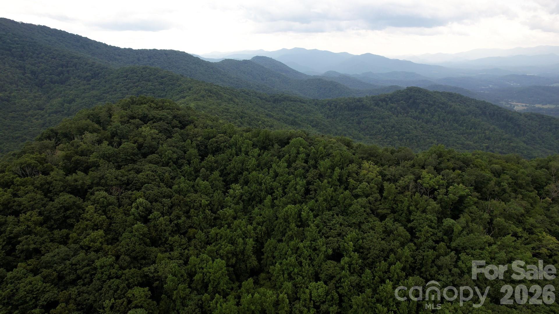 533 Enchanted Forest Drive Property Photo 20