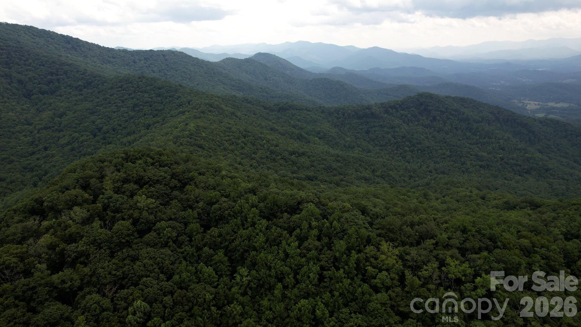 533 Enchanted Forest Drive Property Photo 25
