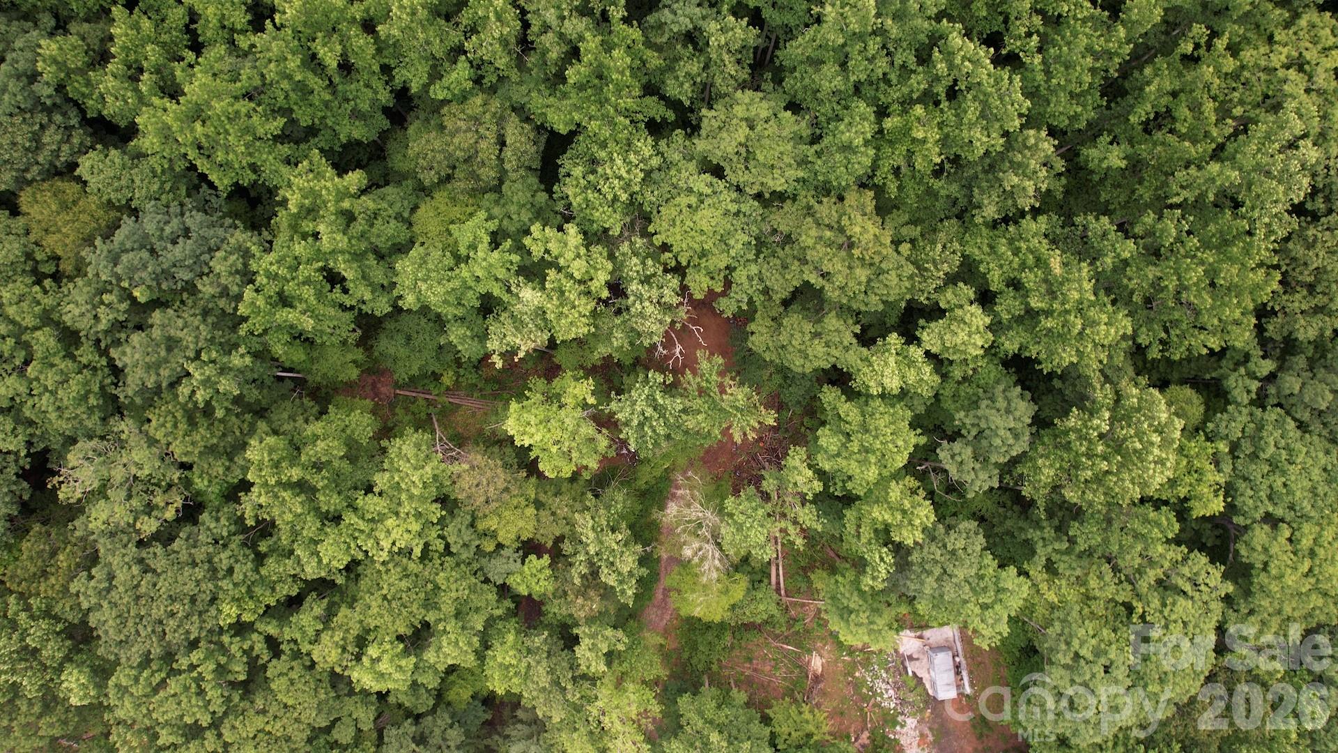 533 Enchanted Forest Drive Property Photo 26