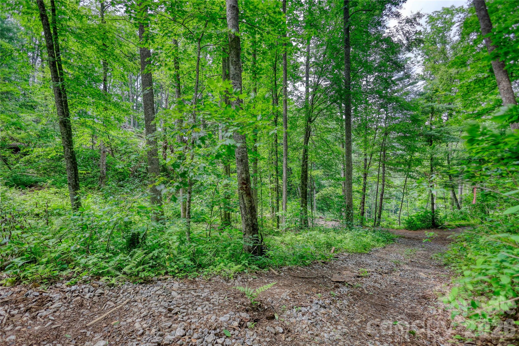 533 Enchanted Forest Drive Property Photo 28