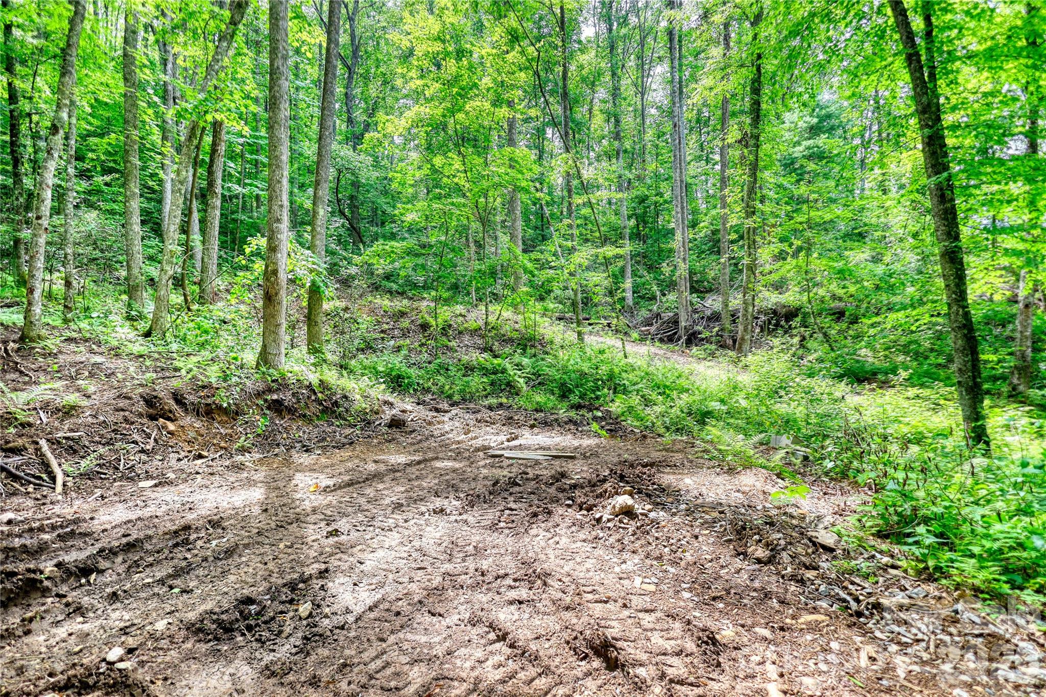 533 Enchanted Forest Drive Property Photo 29