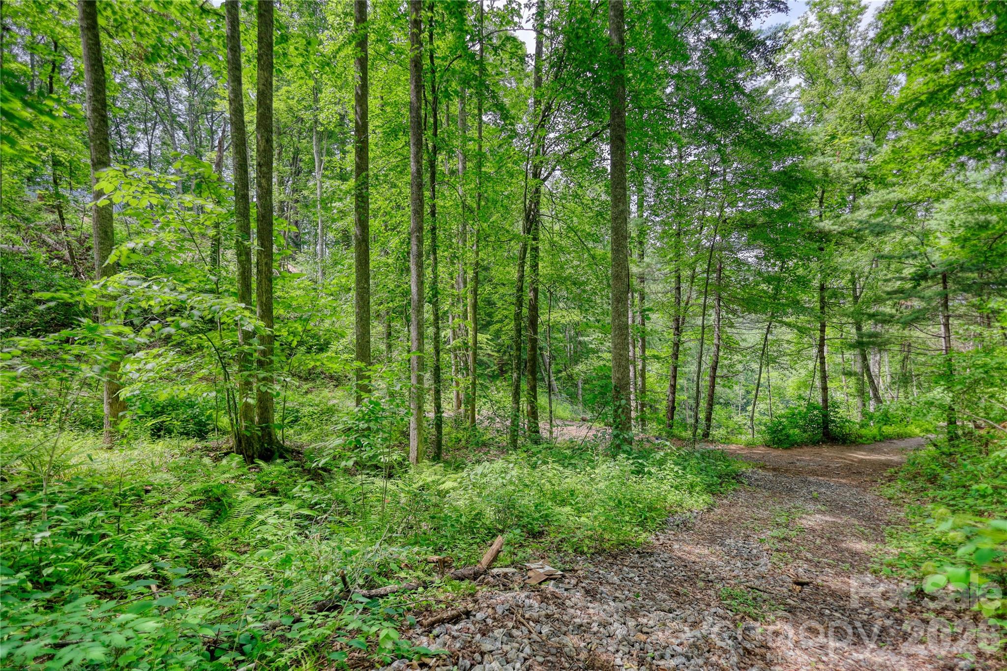 533 Enchanted Forest Drive Property Photo 30