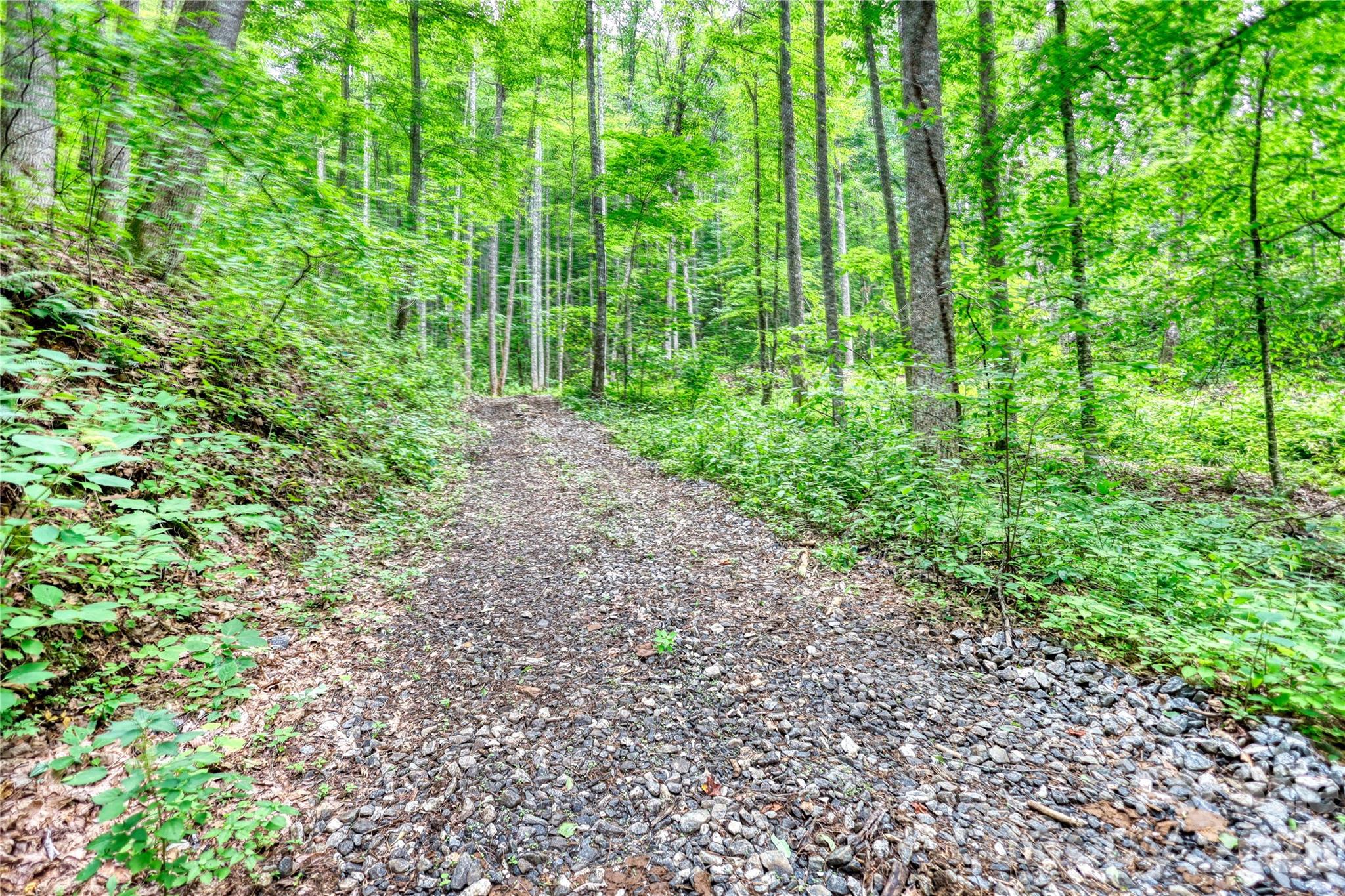 533 Enchanted Forest Drive Property Photo 33