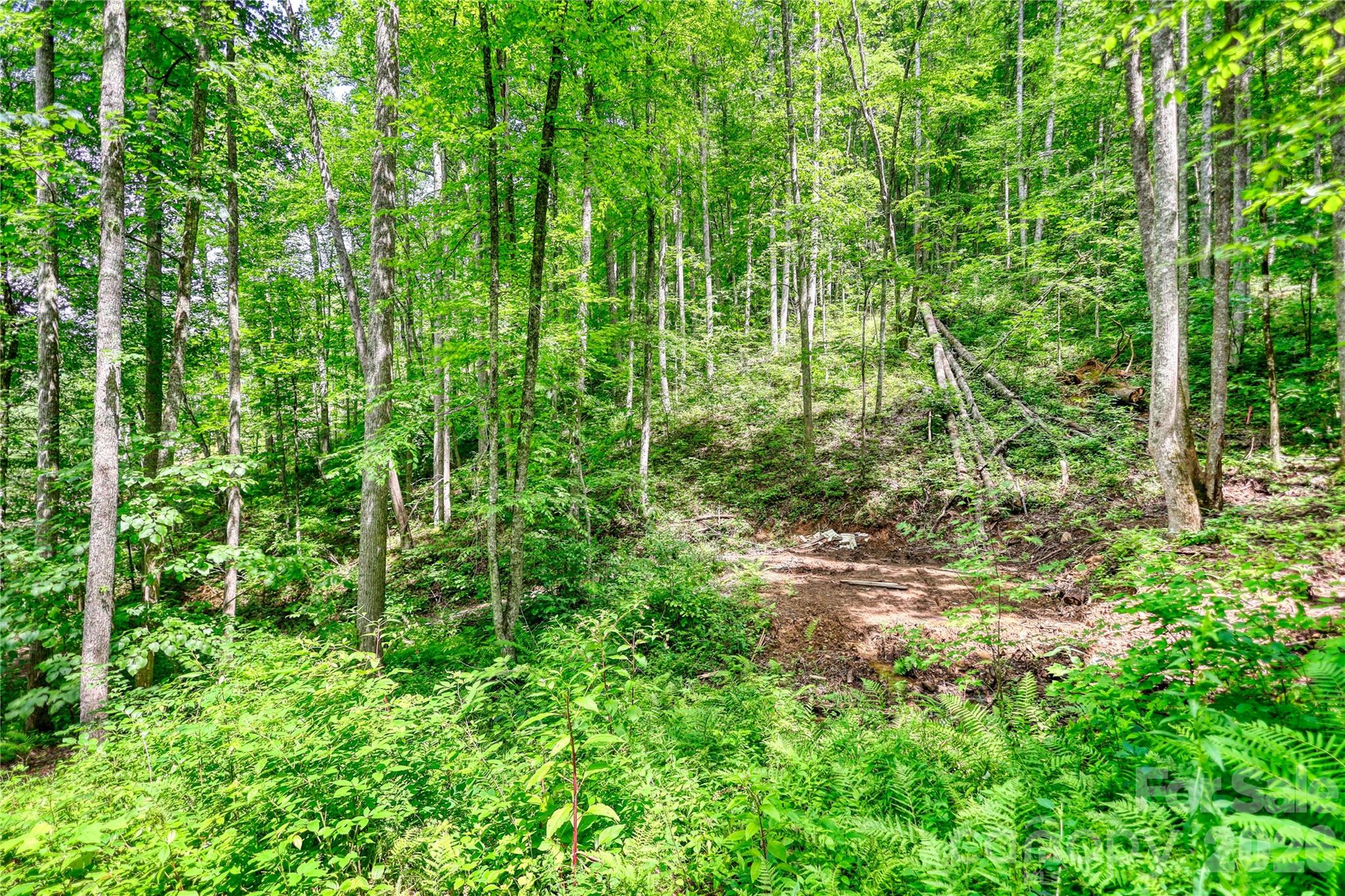 533 Enchanted Forest Drive Property Photo 37