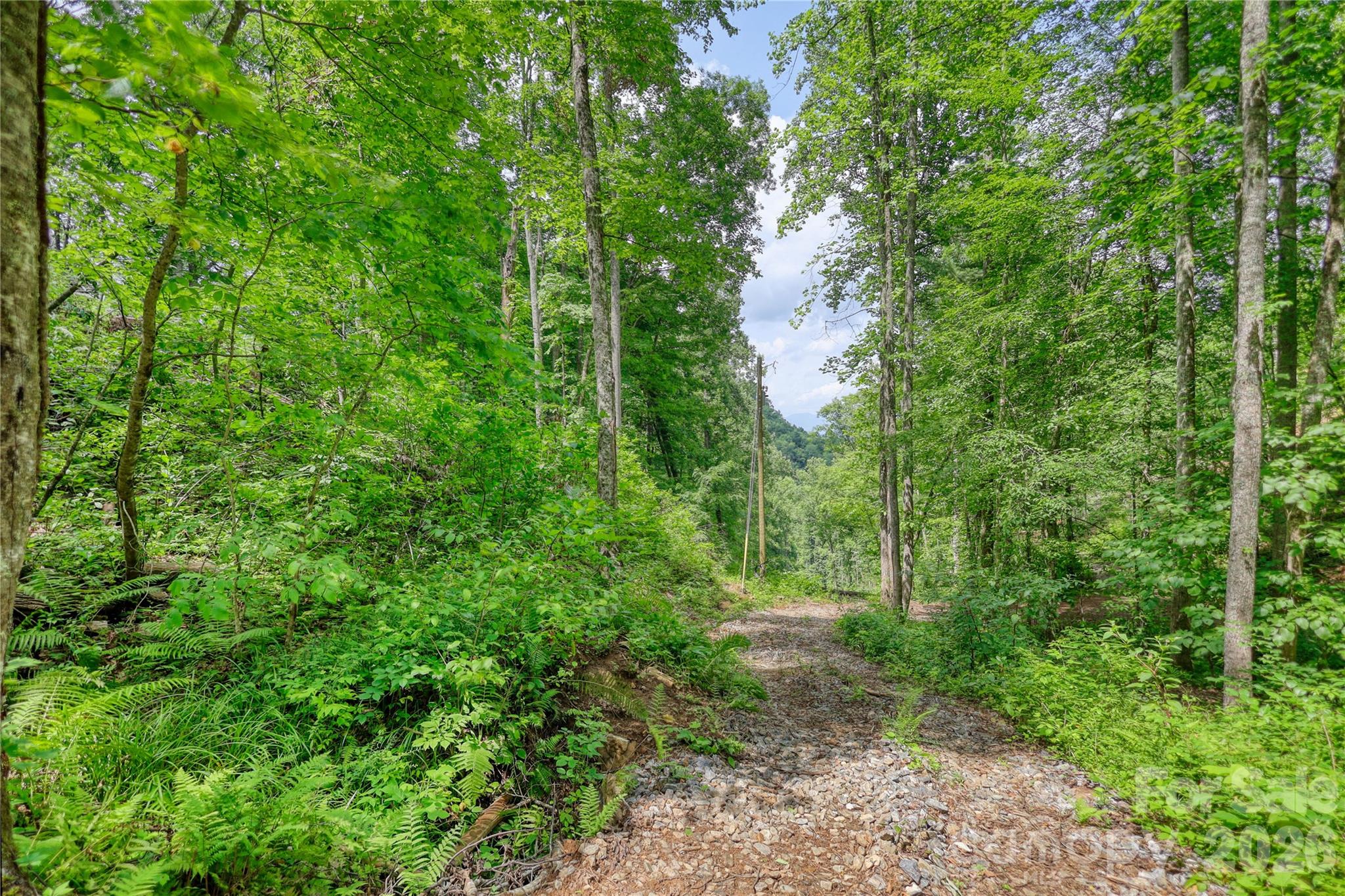 533 Enchanted Forest Drive Property Photo 38