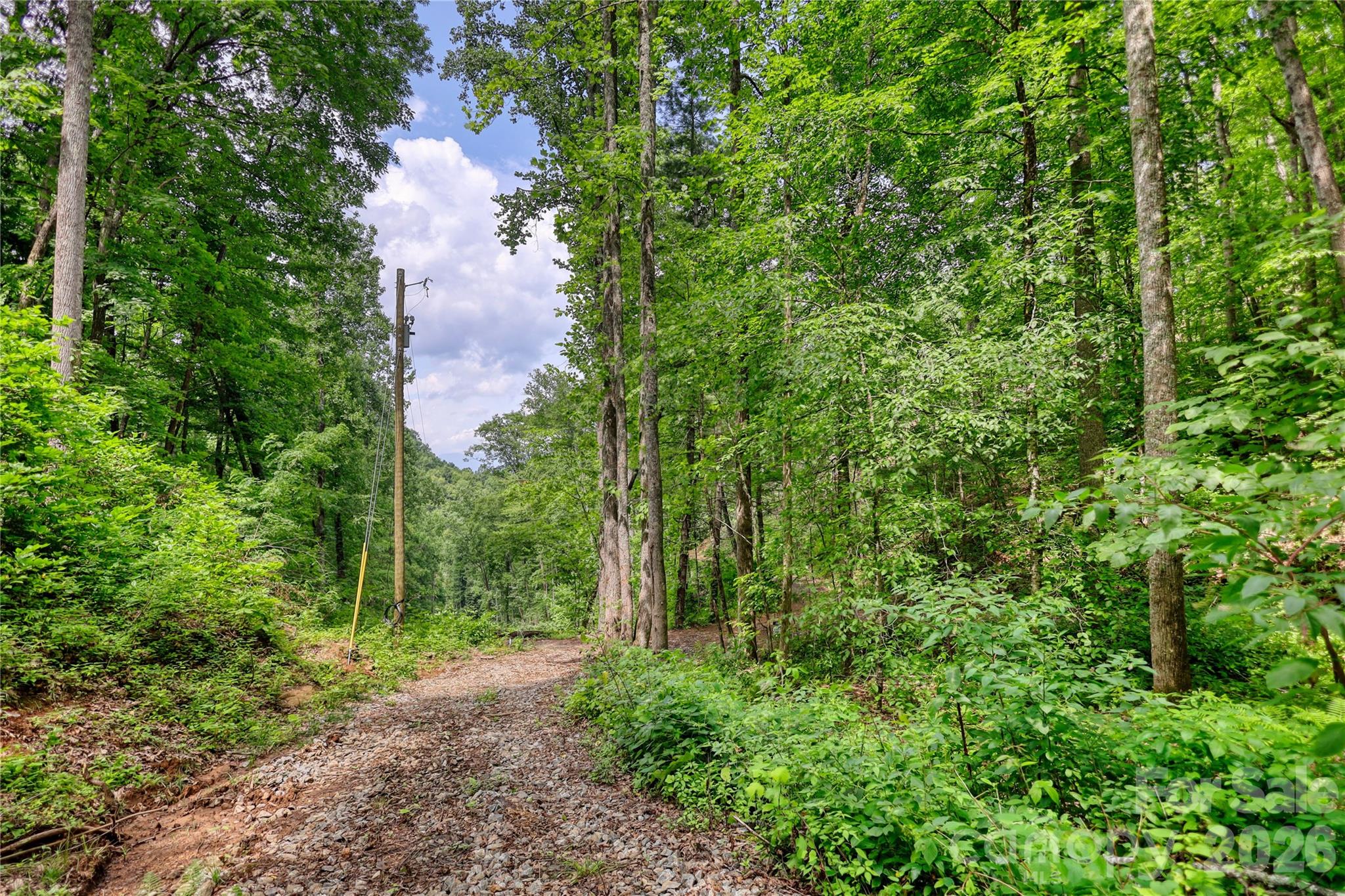 533 Enchanted Forest Drive Property Photo 39