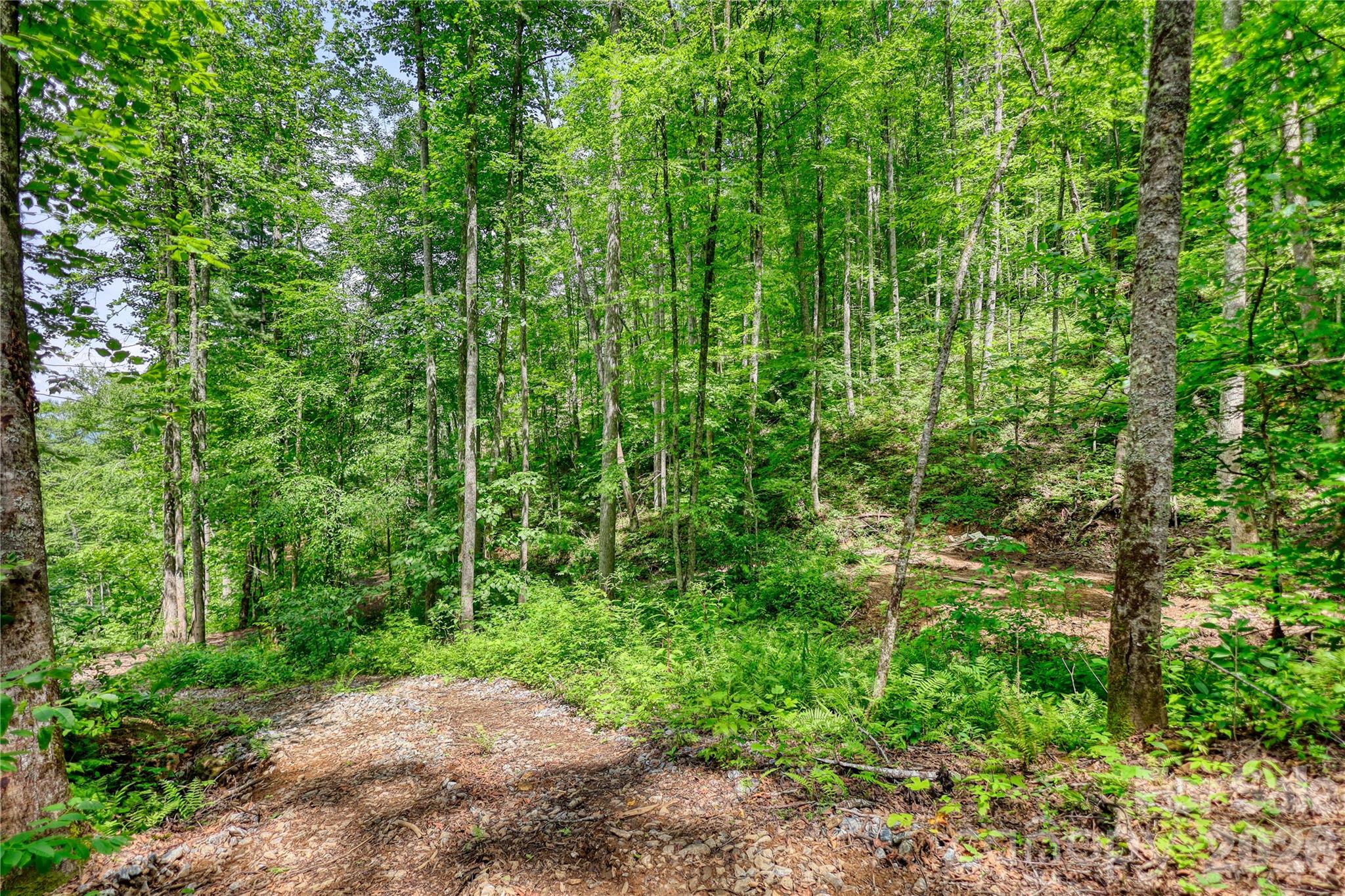 533 Enchanted Forest Drive Property Photo 41