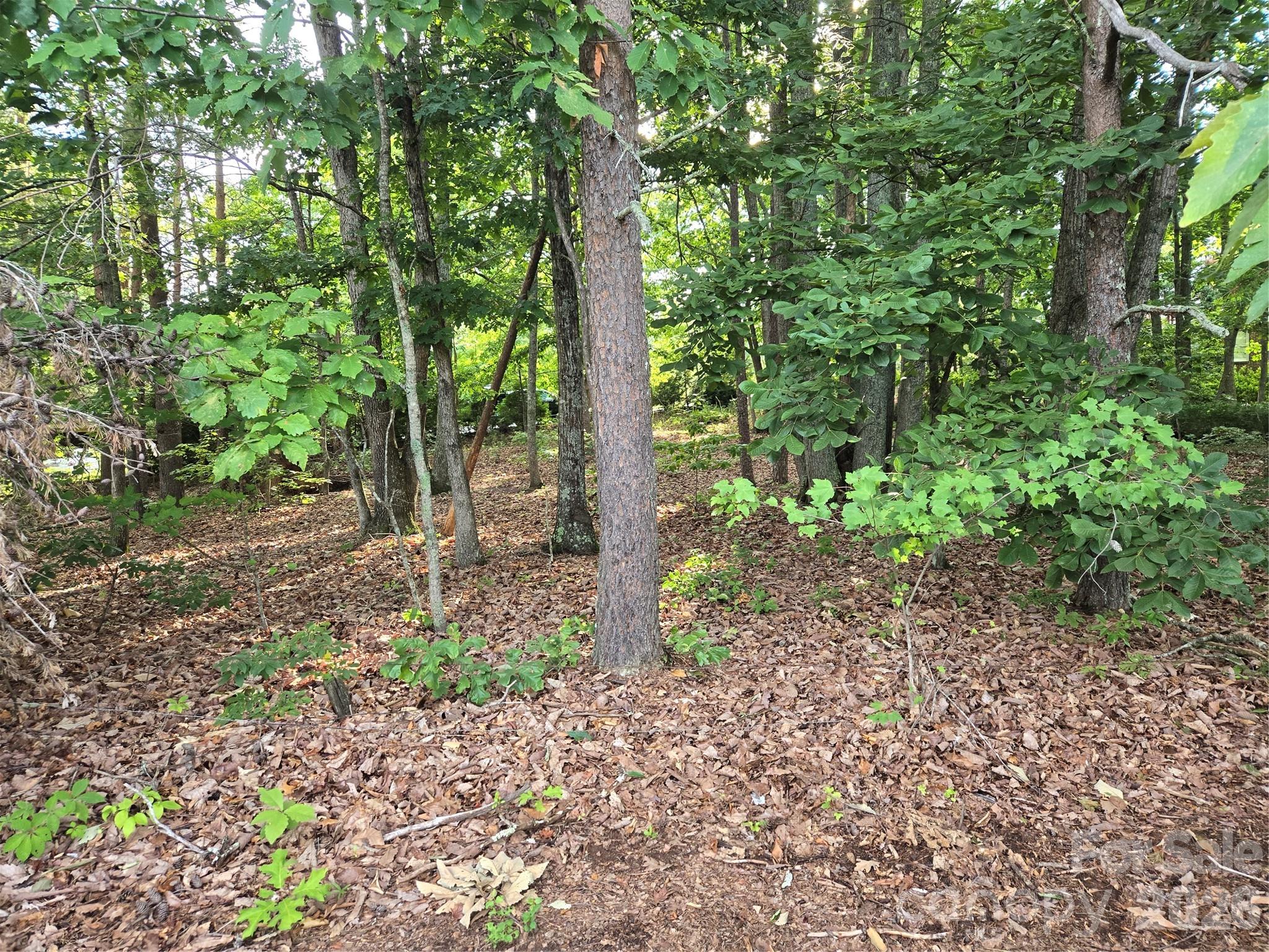 1236 Smithfield Drive Property Photo 2