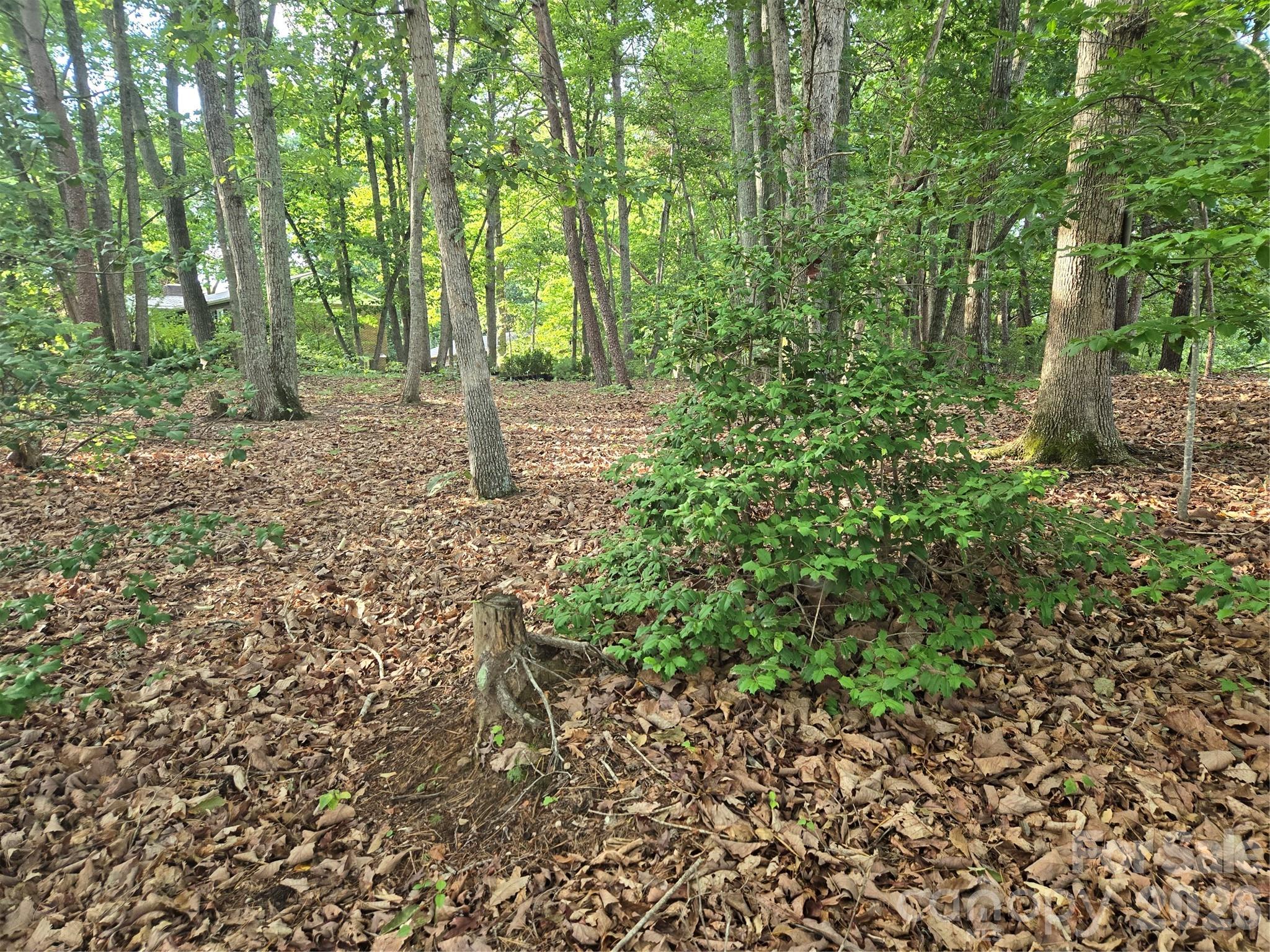 1236 Smithfield Drive Property Photo 3