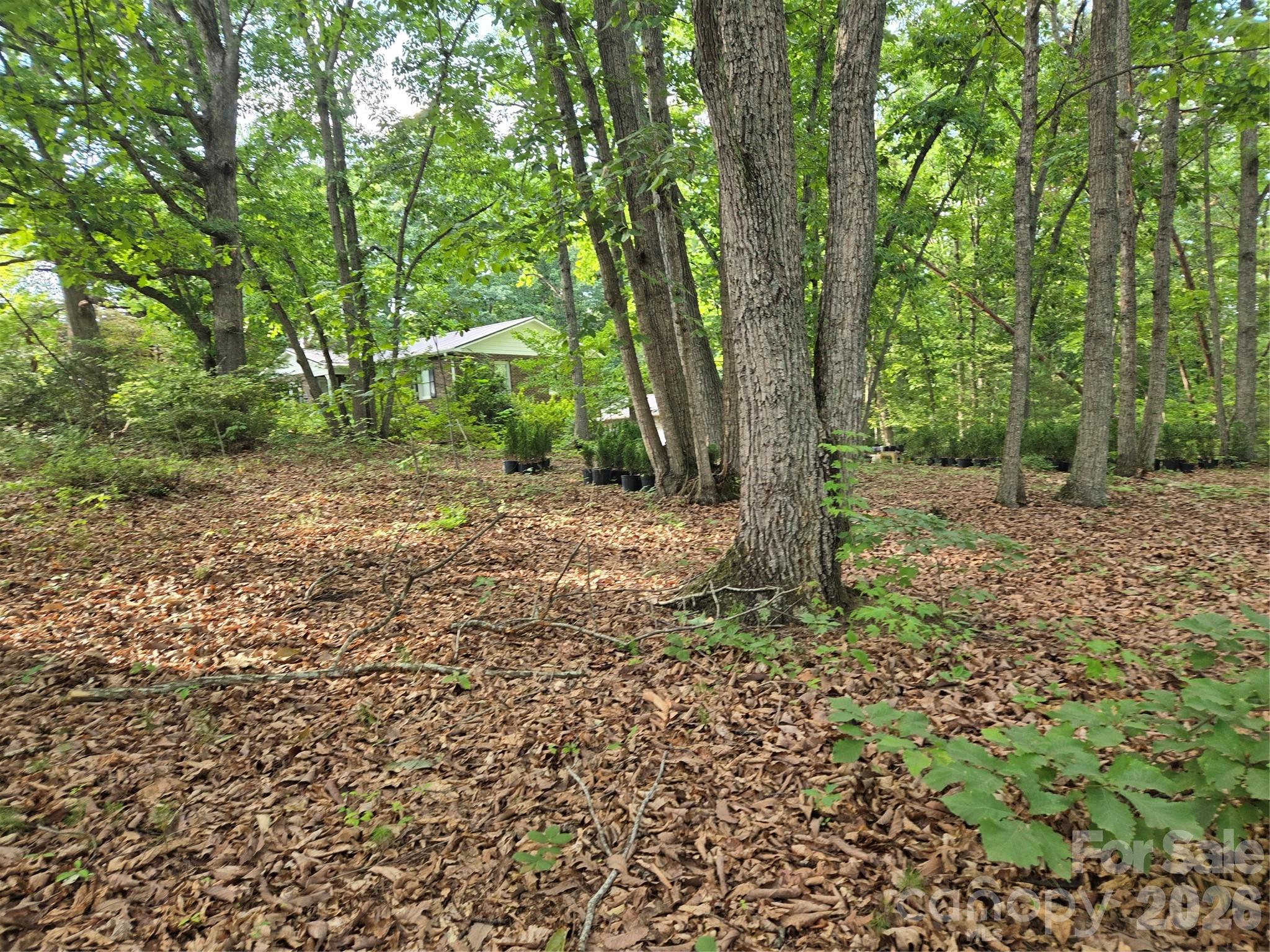 1236 Smithfield Drive Property Photo 4