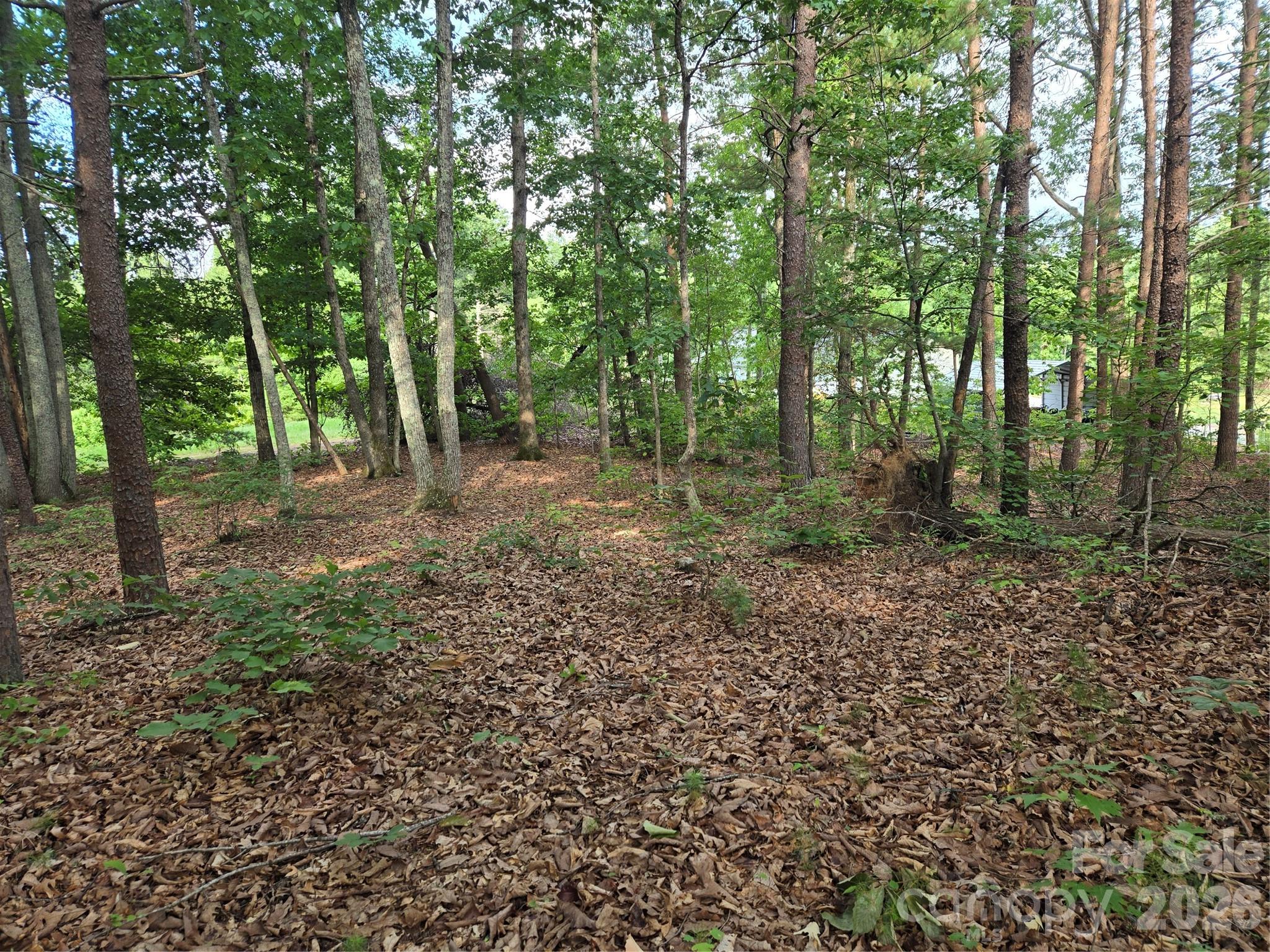 1236 Smithfield Drive Property Photo 6