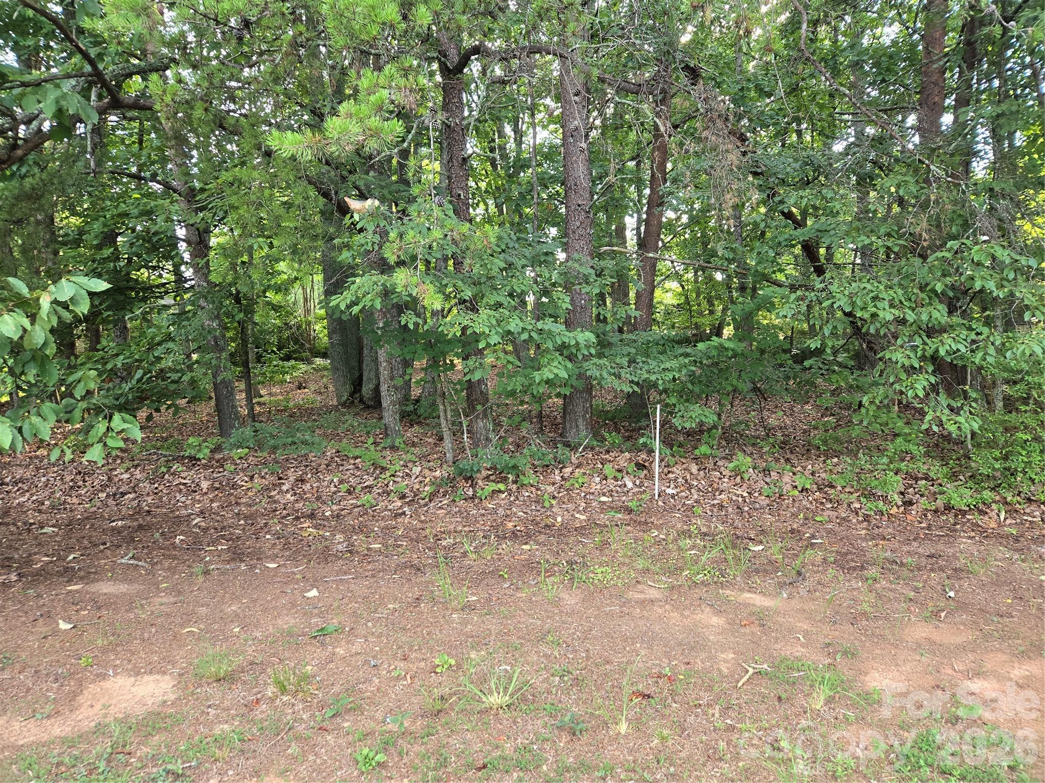 1236 Smithfield Drive Property Photo 7
