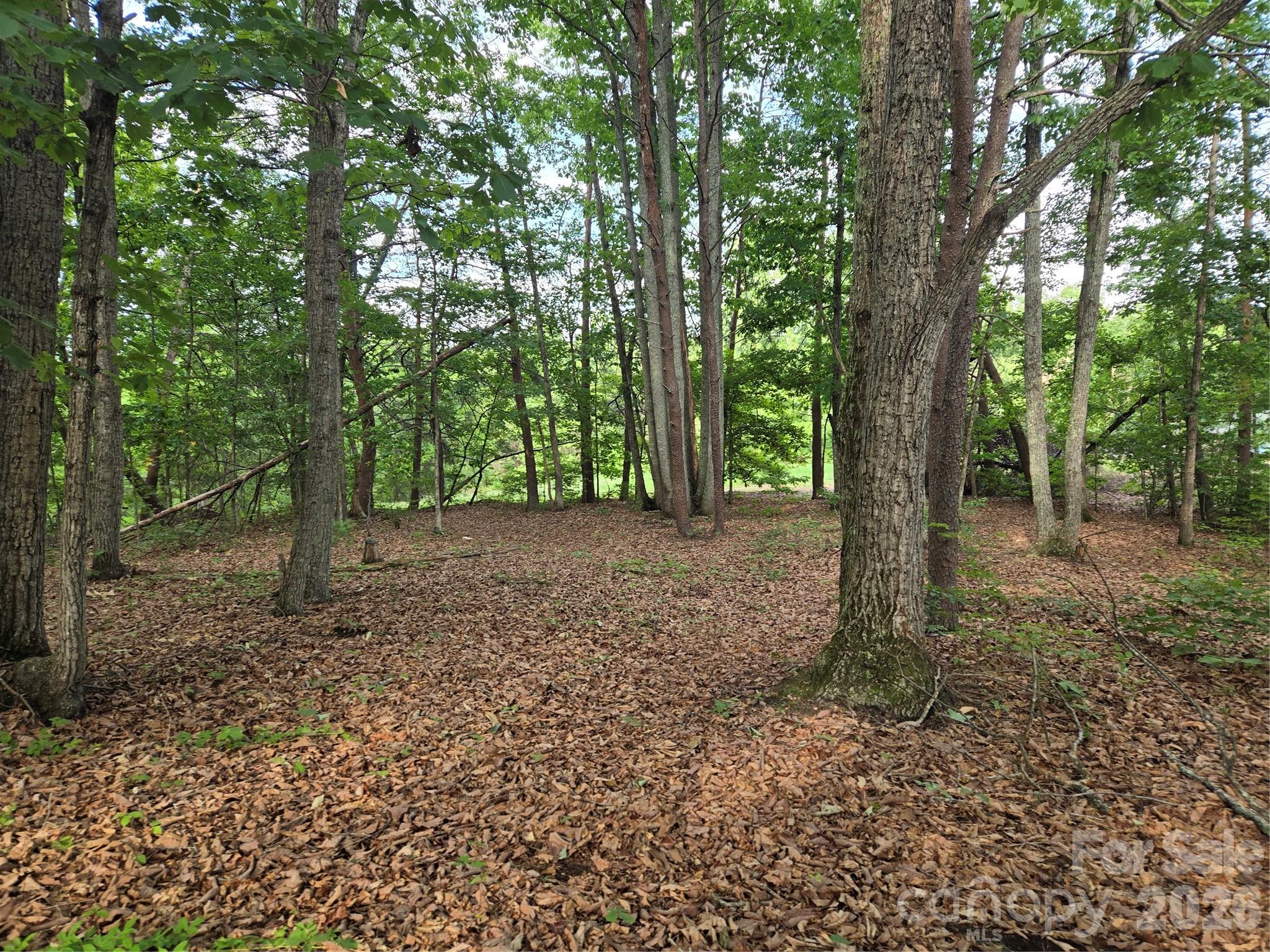 1236 Smithfield Drive Property Photo 8