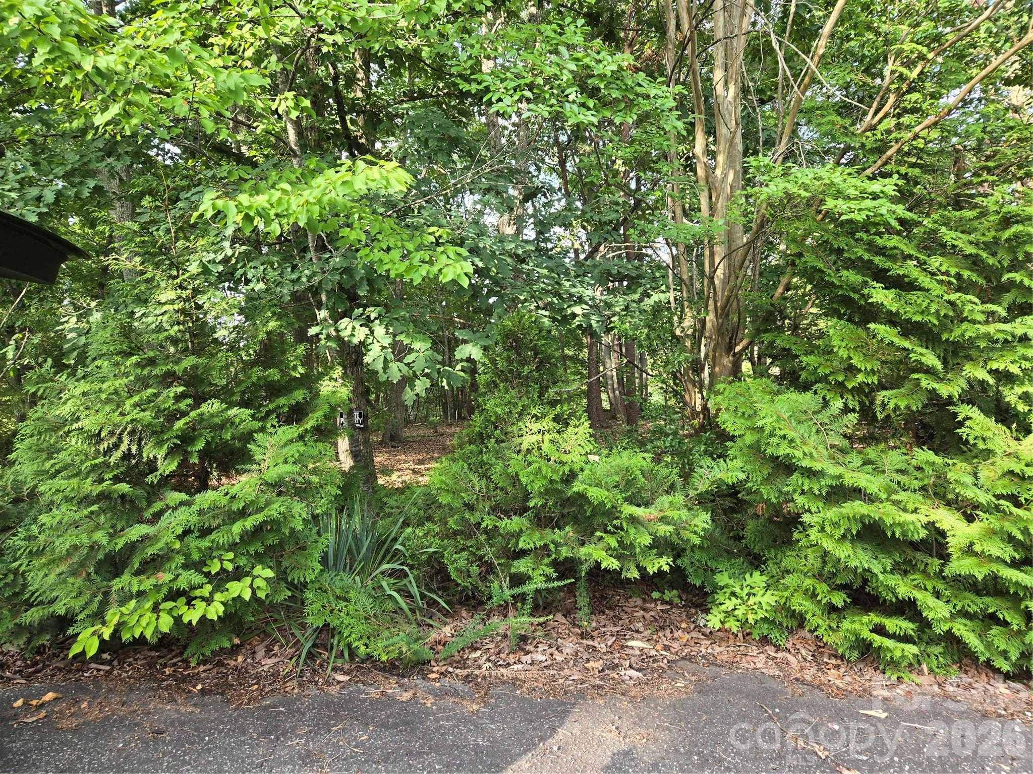 1236 Smithfield Drive Property Photo 10