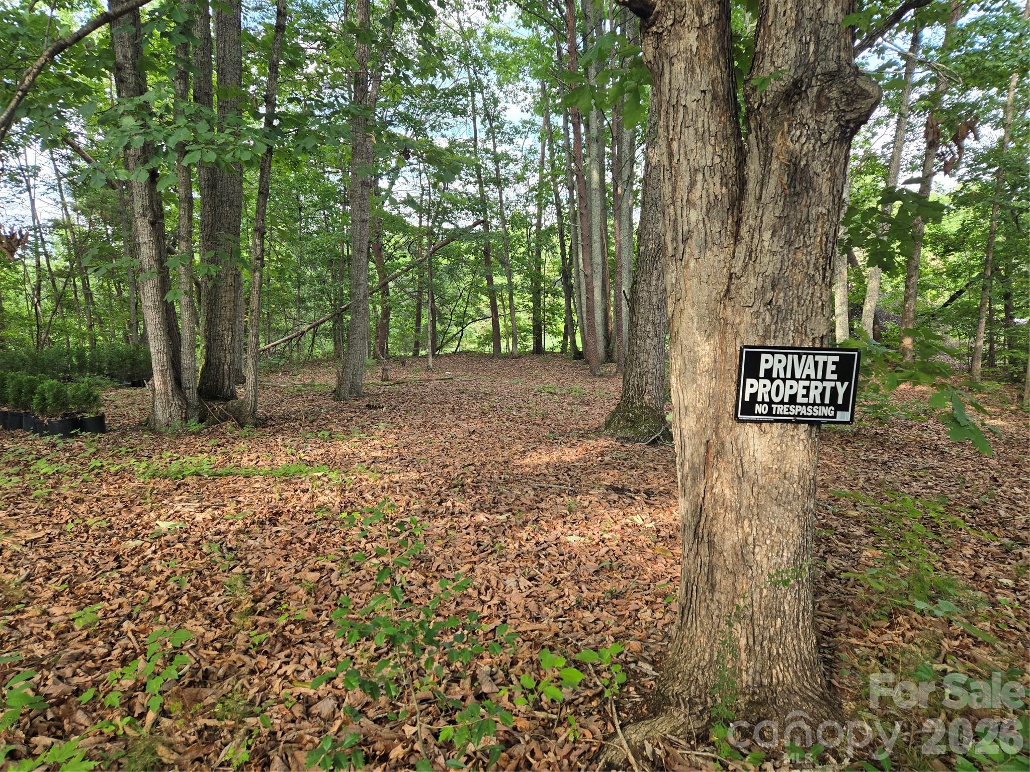 1236 Smithfield Drive Property Photo 11