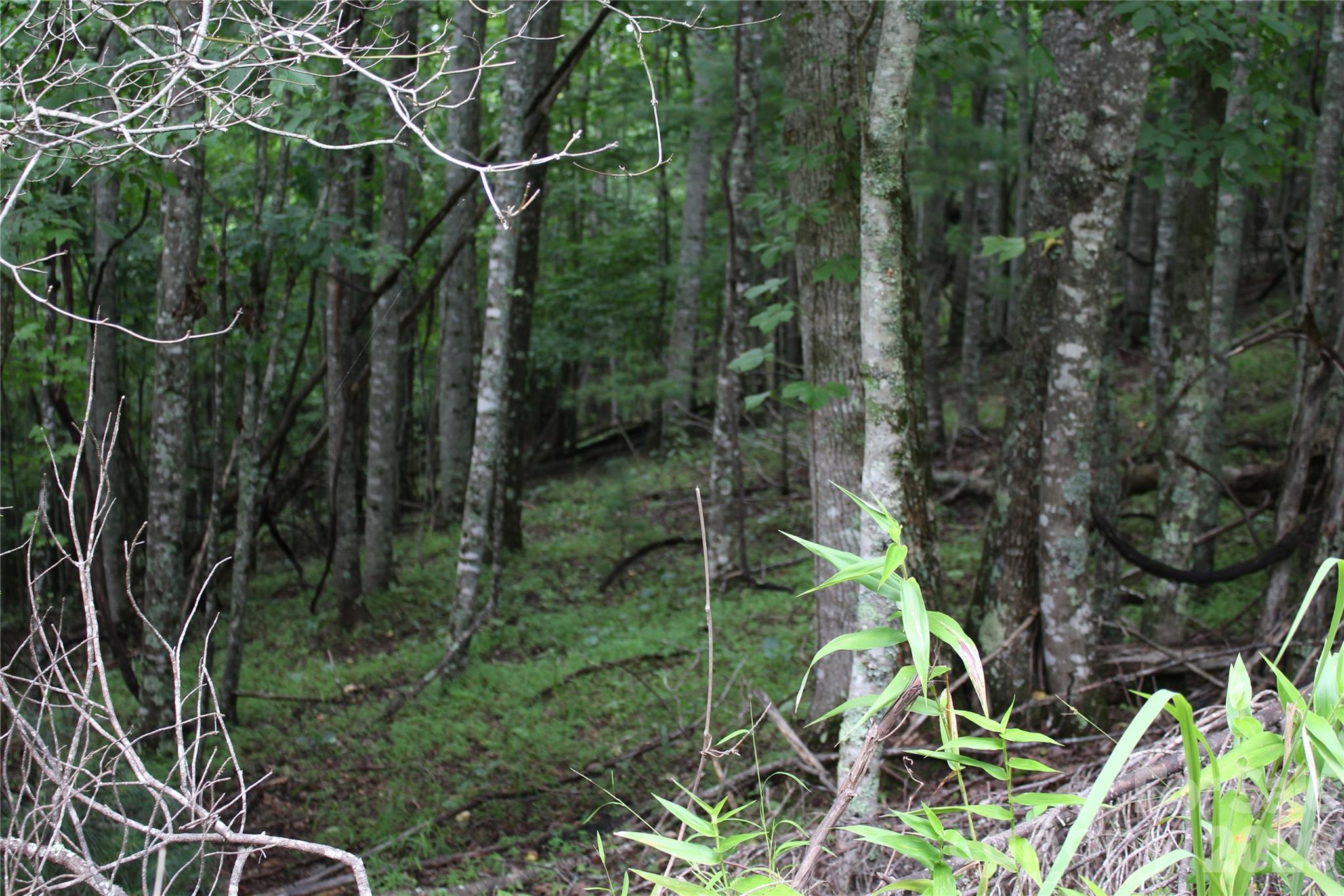 Plt 3 Scenic View Drive Property Photo 8