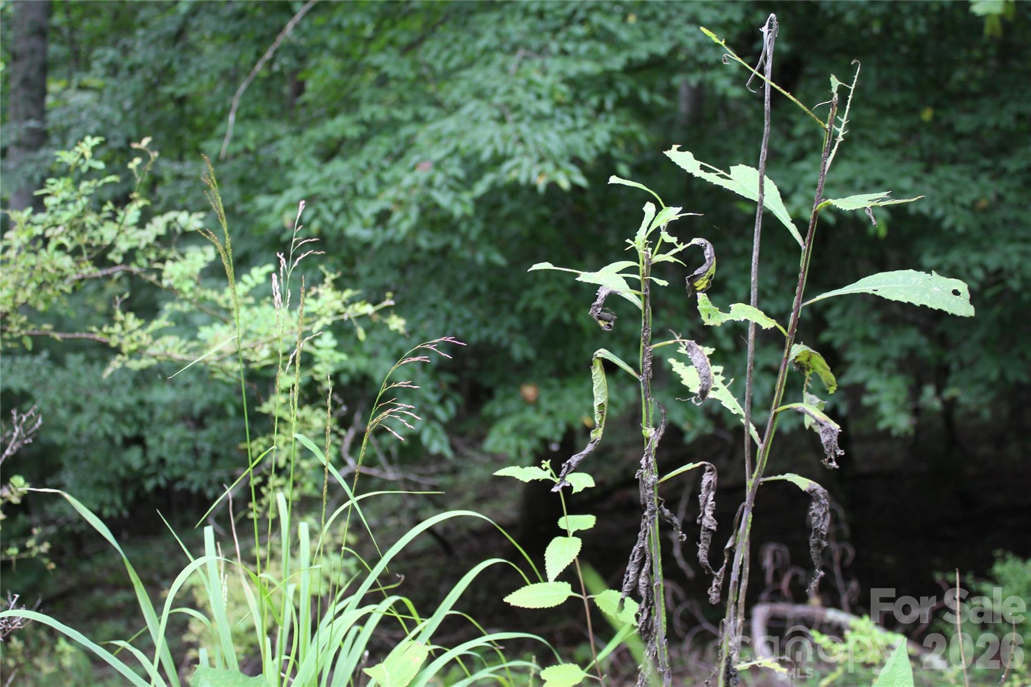 Plt 3 Scenic View Drive Property Photo 9