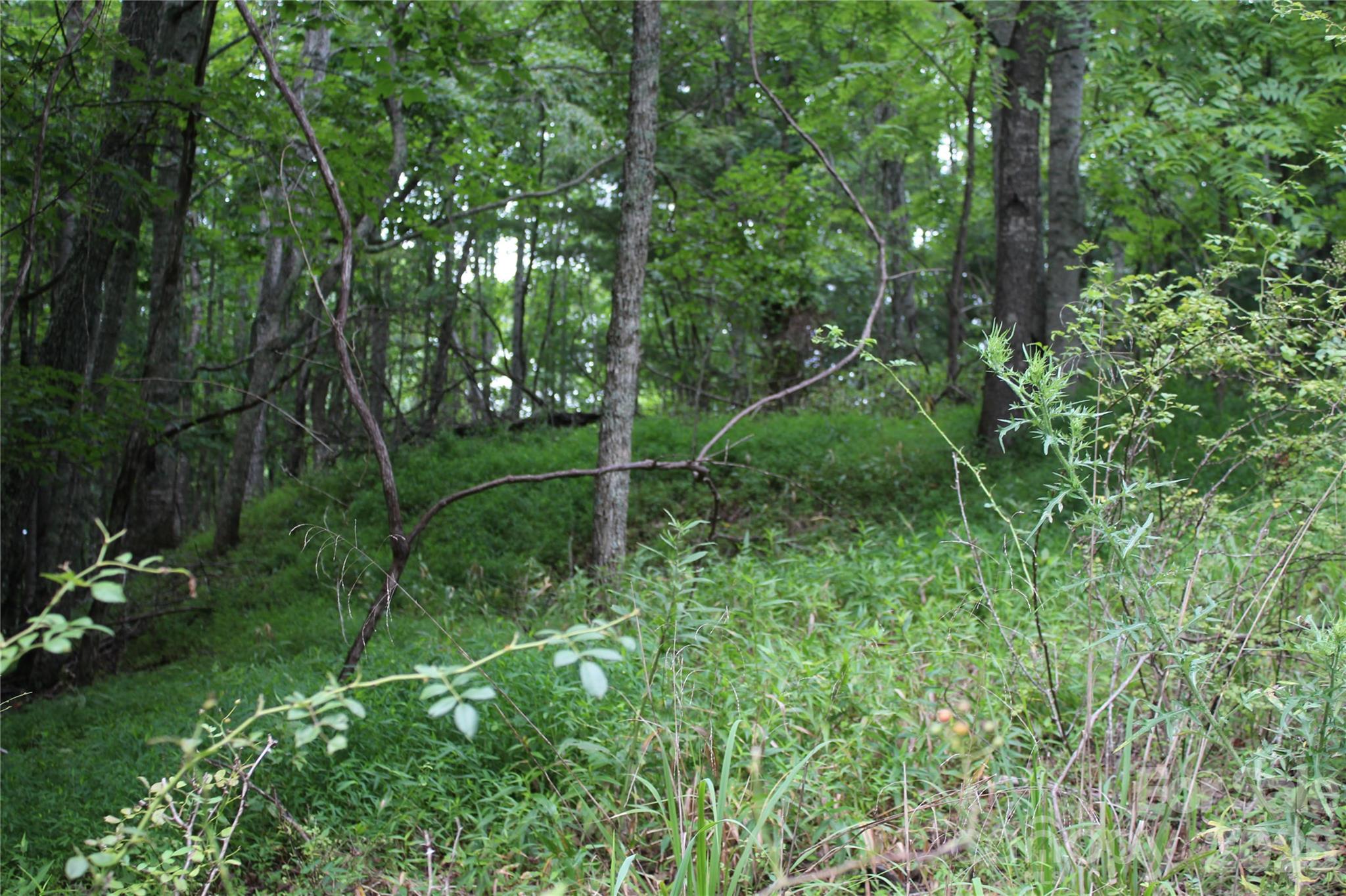Plt 3 Scenic View Drive Property Photo 10