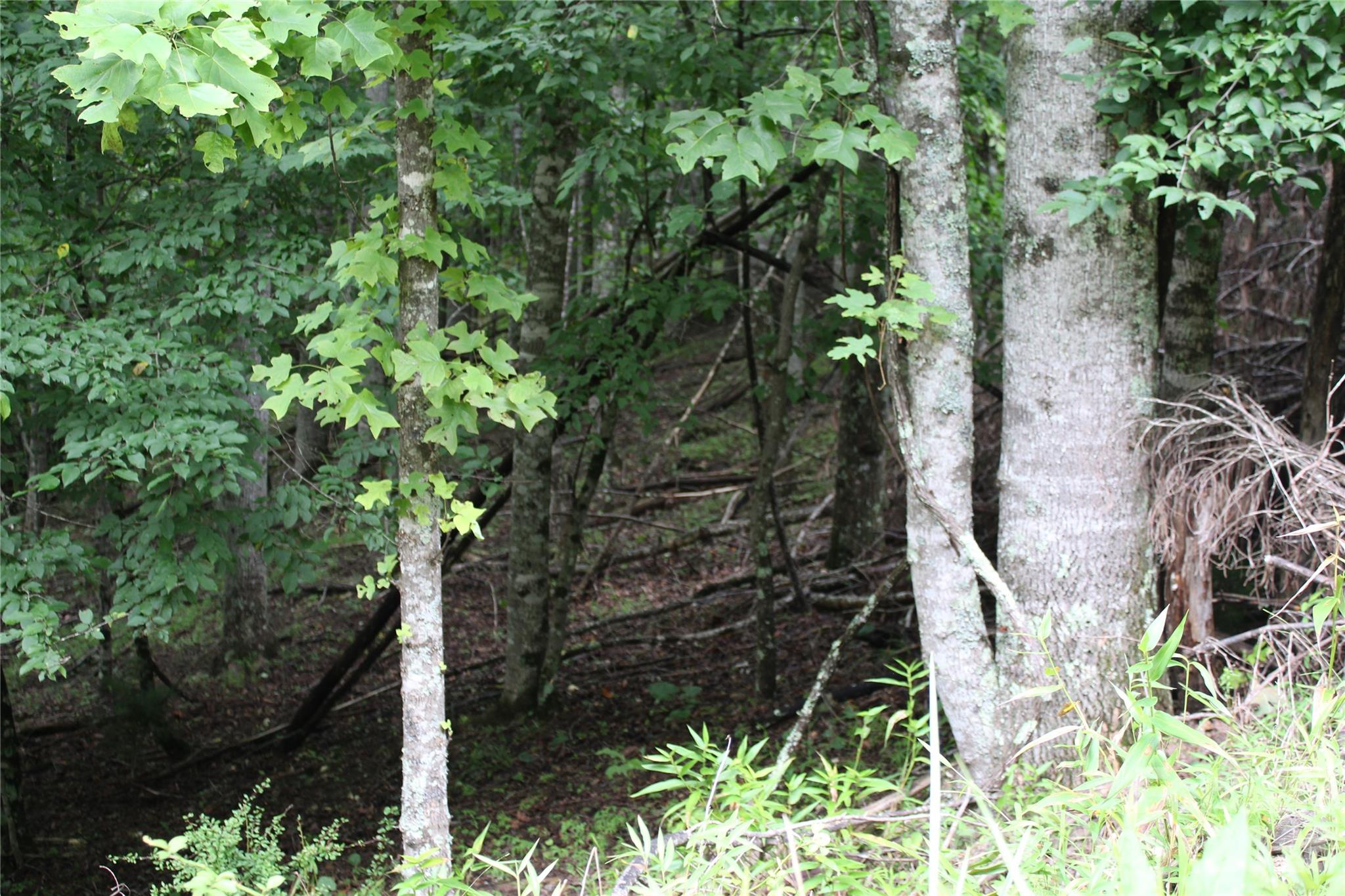 Plt 3 Scenic View Drive Property Photo 13