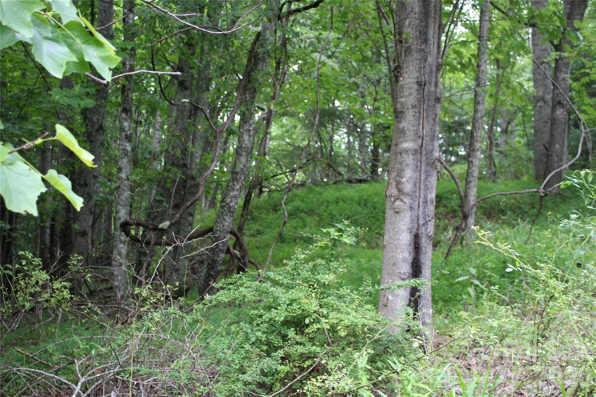 Plt 3 Scenic View Drive Property Photo 14