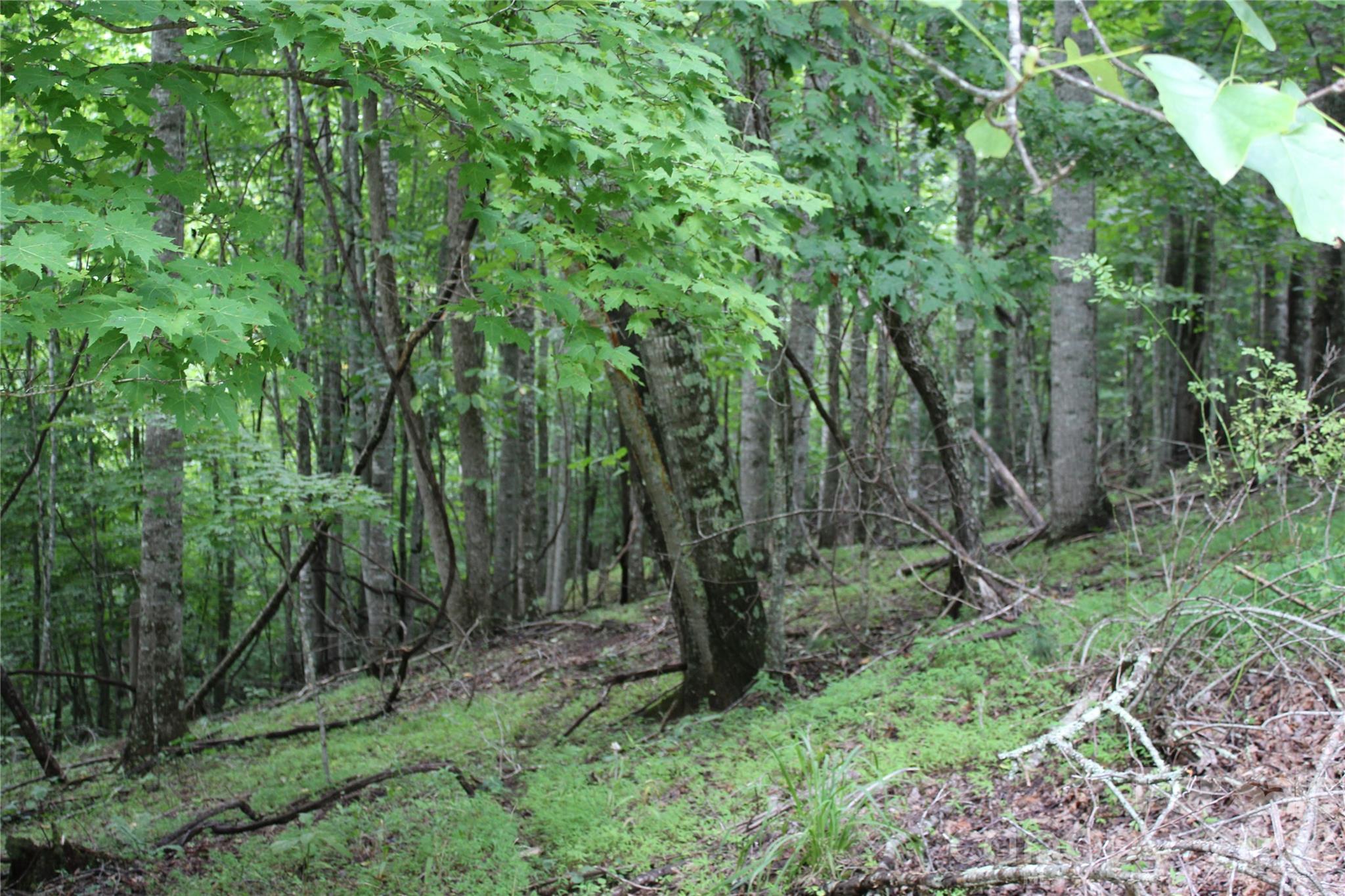 Plt 3 Scenic View Drive Property Photo 15