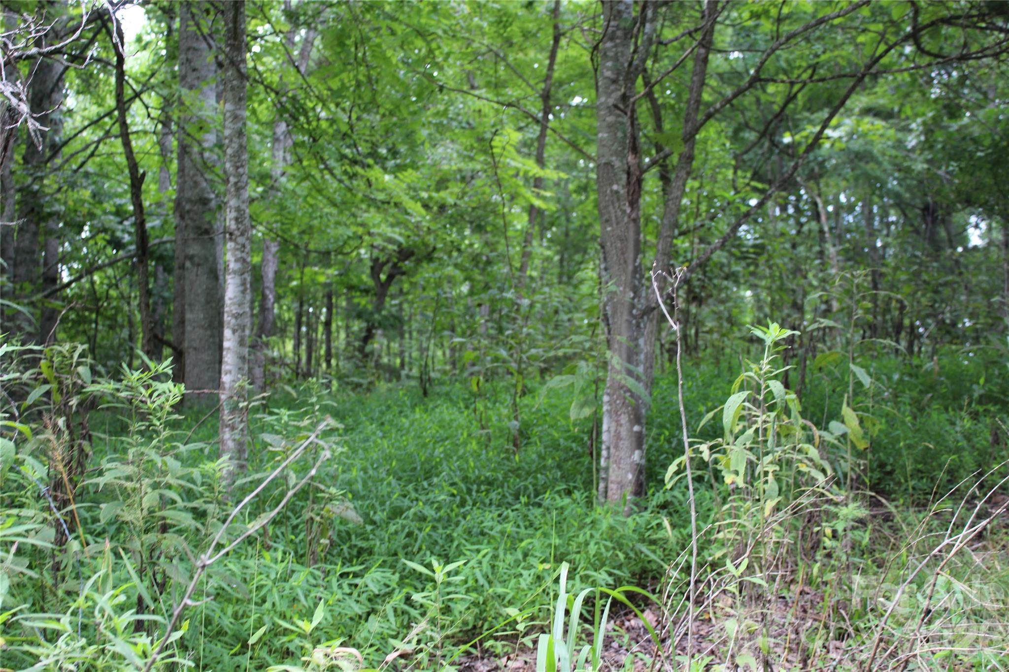 Plt 3 Scenic View Drive Property Photo 16