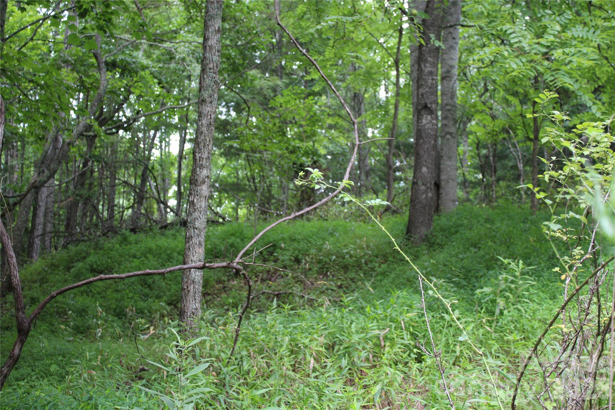 Plt 3 Scenic View Drive Property Photo 17