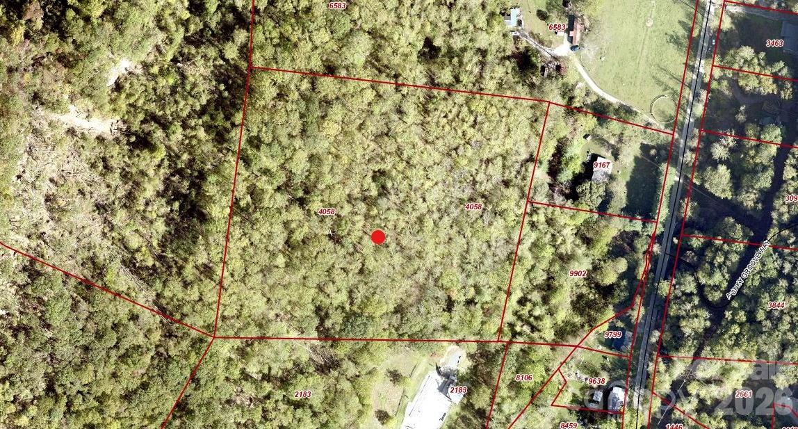 99999 Paint Fork Road Property Photo 5