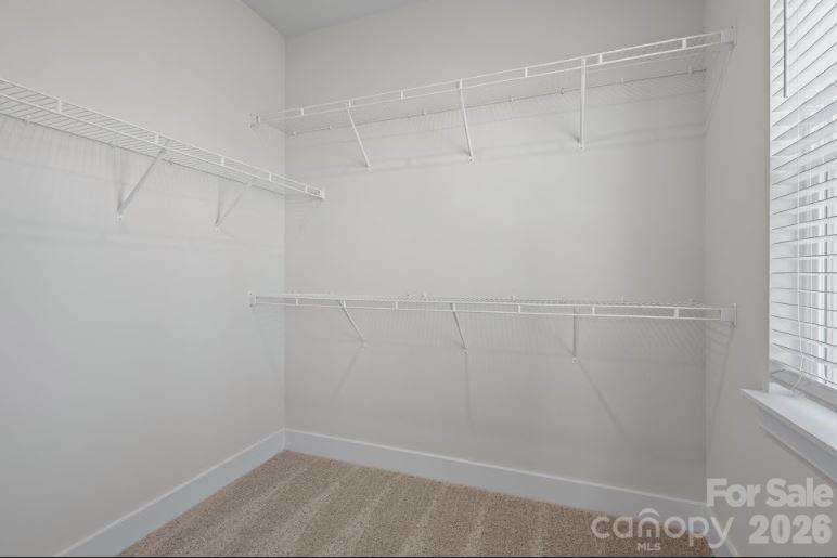 442 Shasta Street 5403 Property Photo 17
