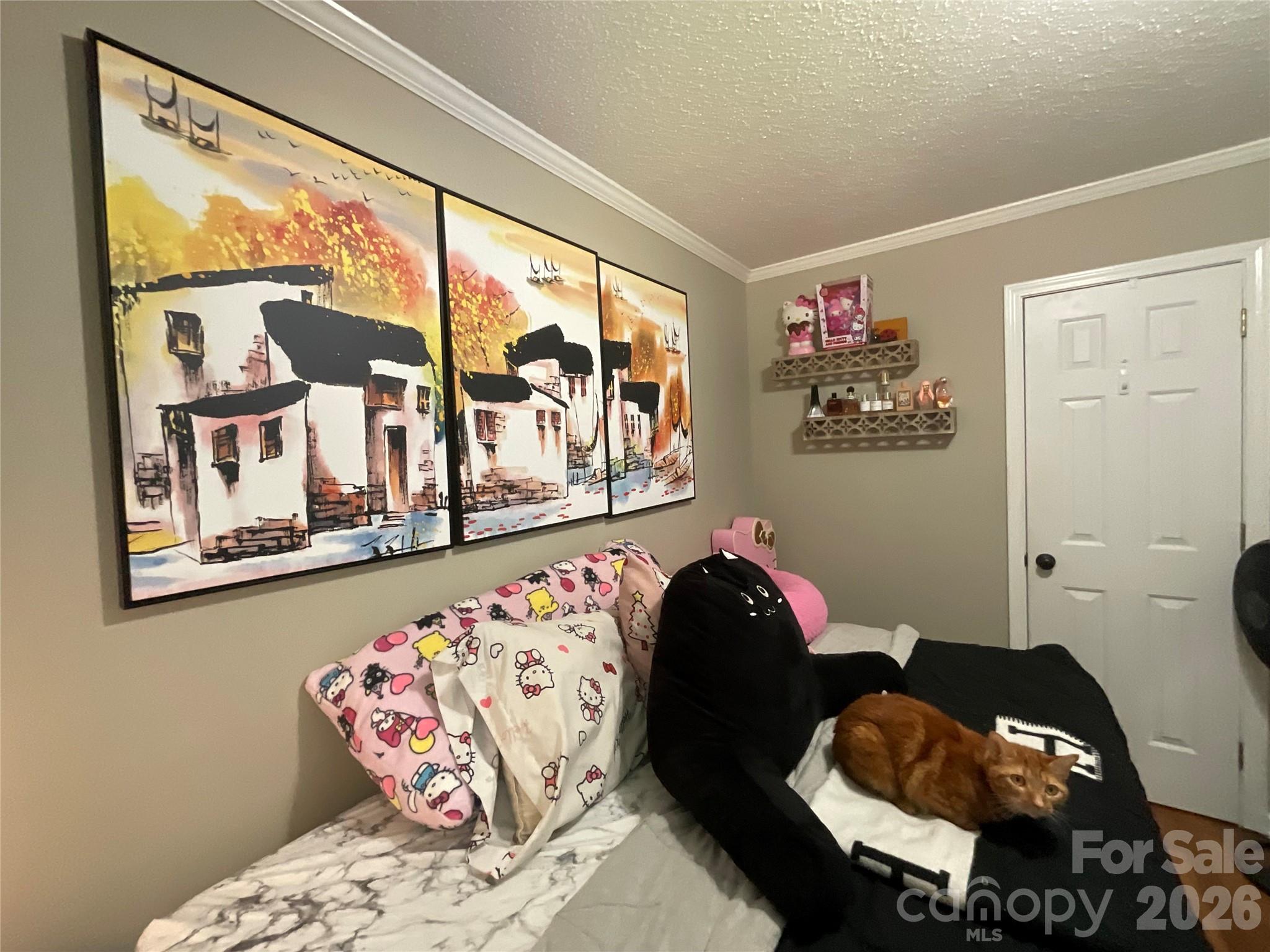 6334 Griffin Road Property Photo 43