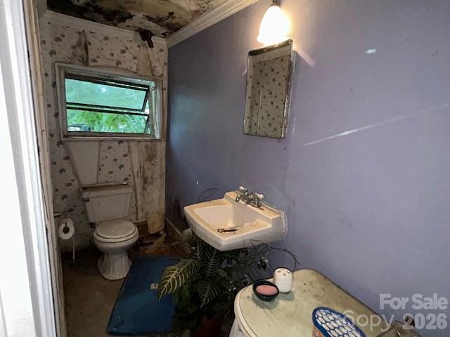 129 Pine Street Property Photo 12