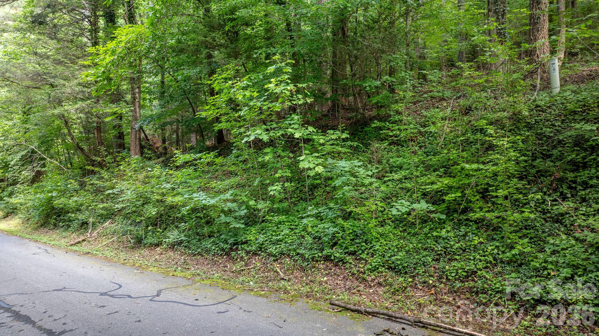 2945 Rockwood Drive Property Photo 3