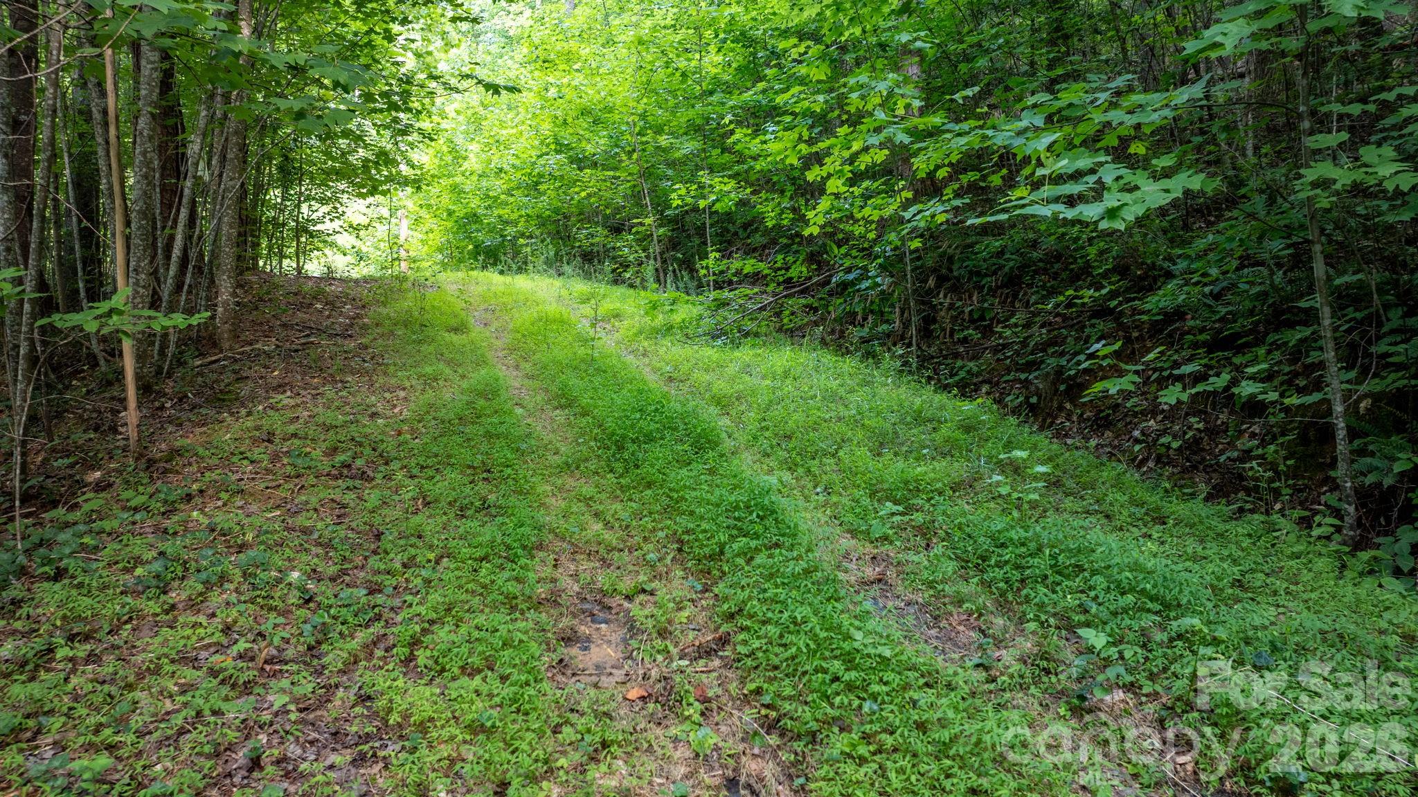 2945 Rockwood Drive Property Photo 7