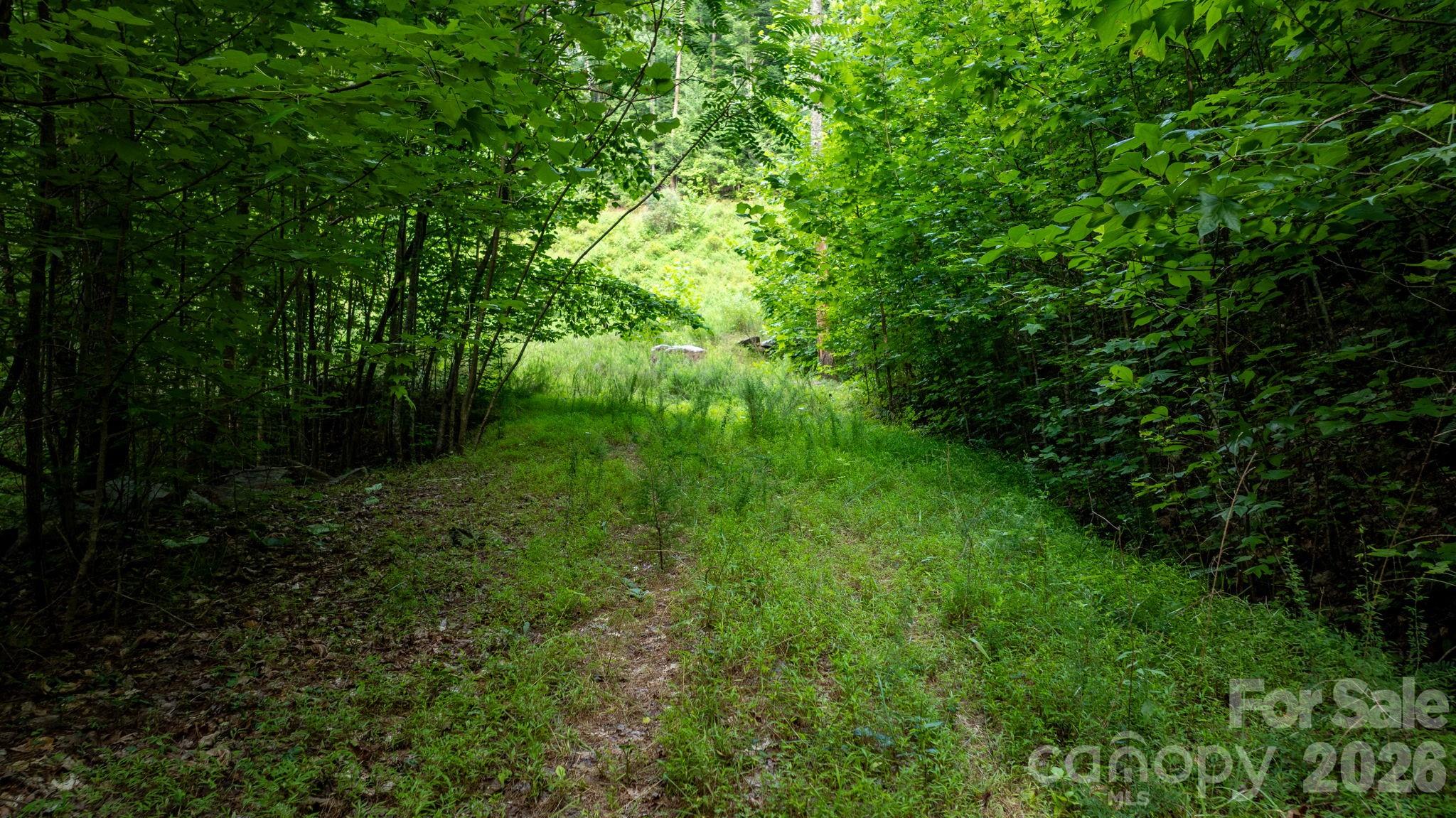 2945 Rockwood Drive Property Photo 8
