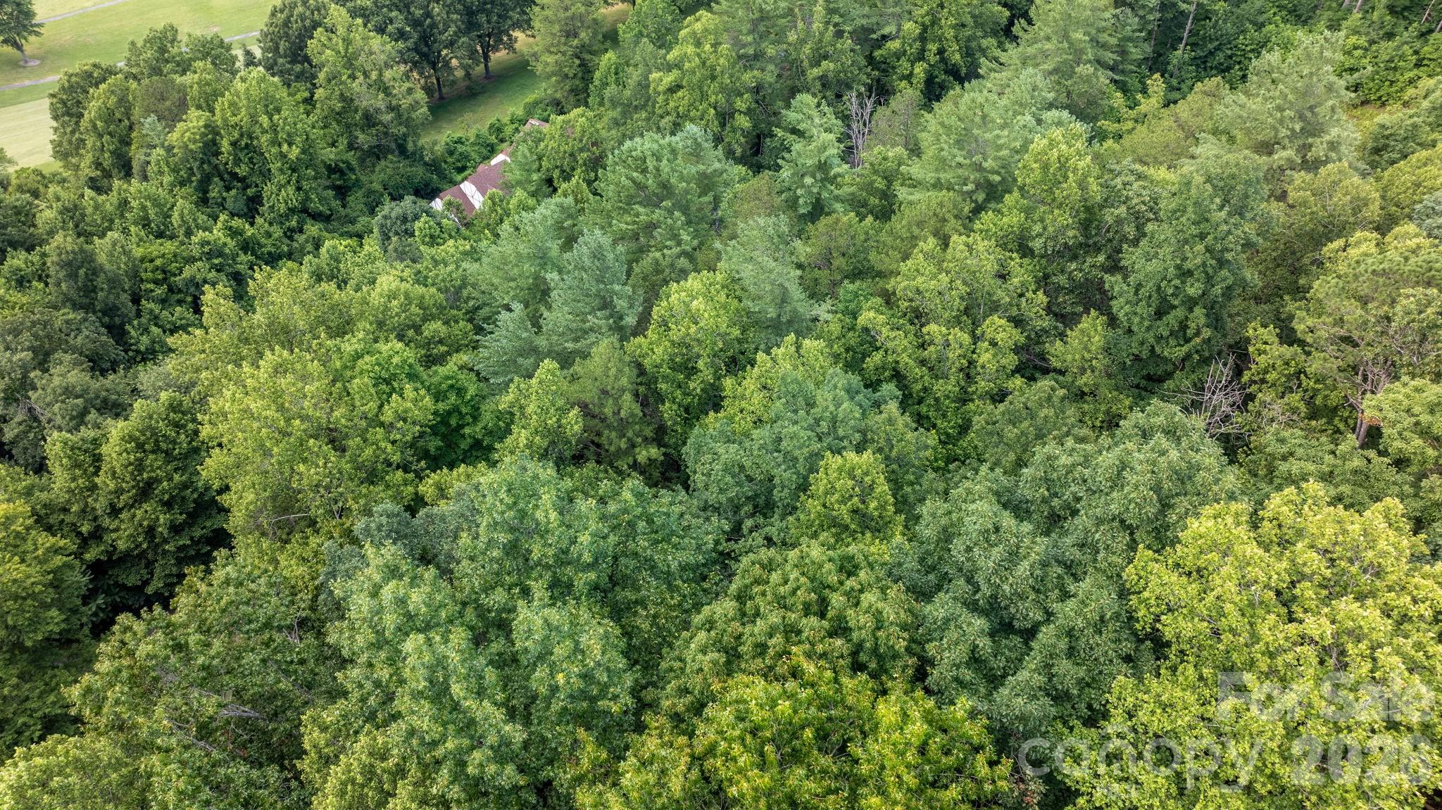 2945 Rockwood Drive Property Photo 14
