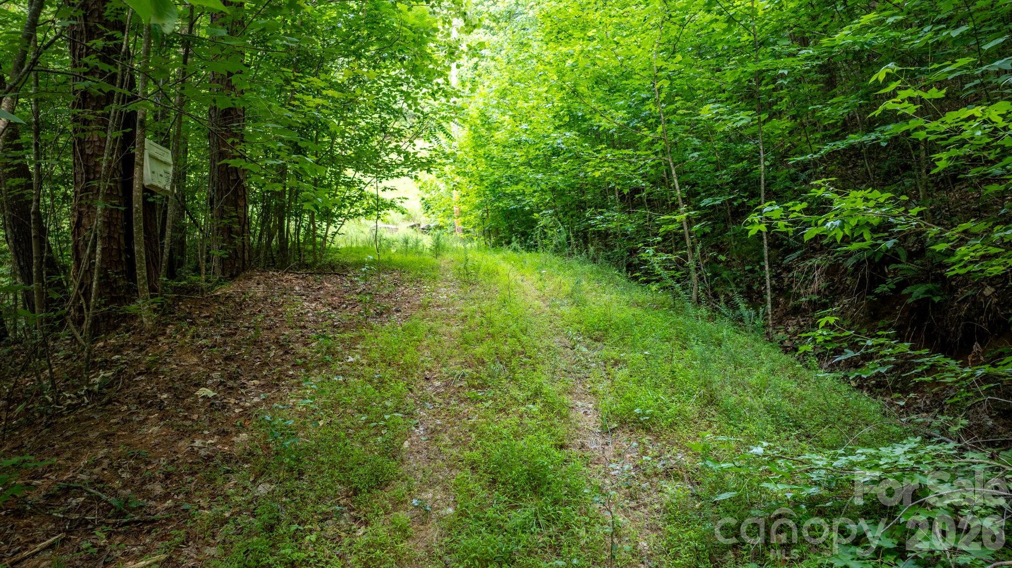 2945 Rockwood Drive Property Photo 24