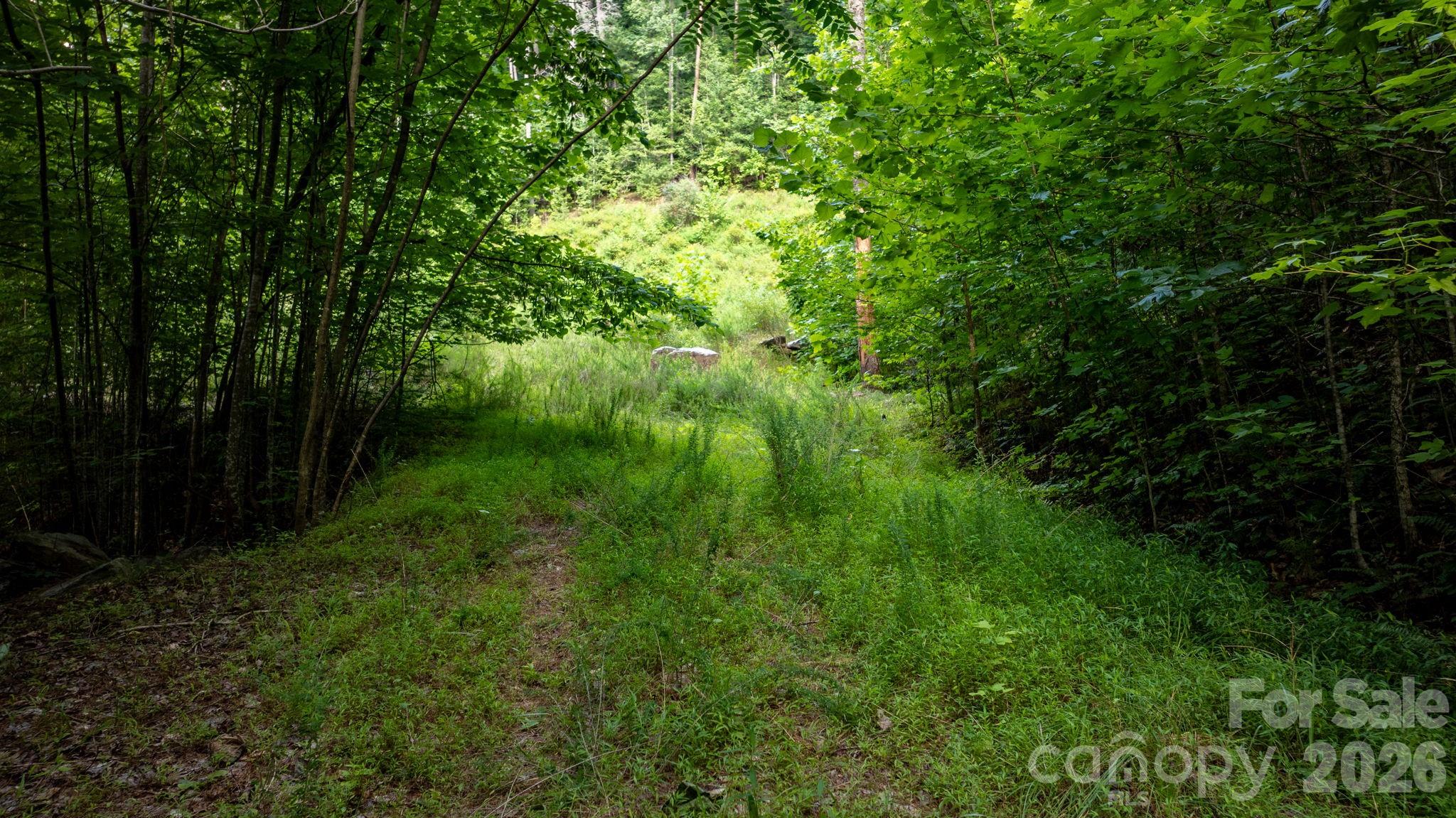 2945 Rockwood Drive Property Photo 25