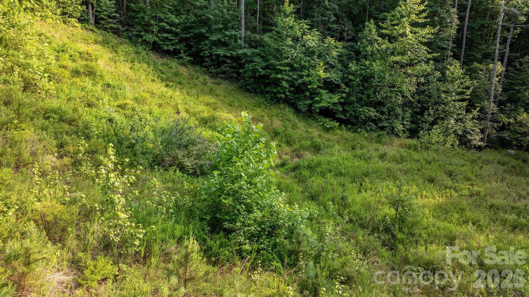 2945 Rockwood Drive Property Photo 47