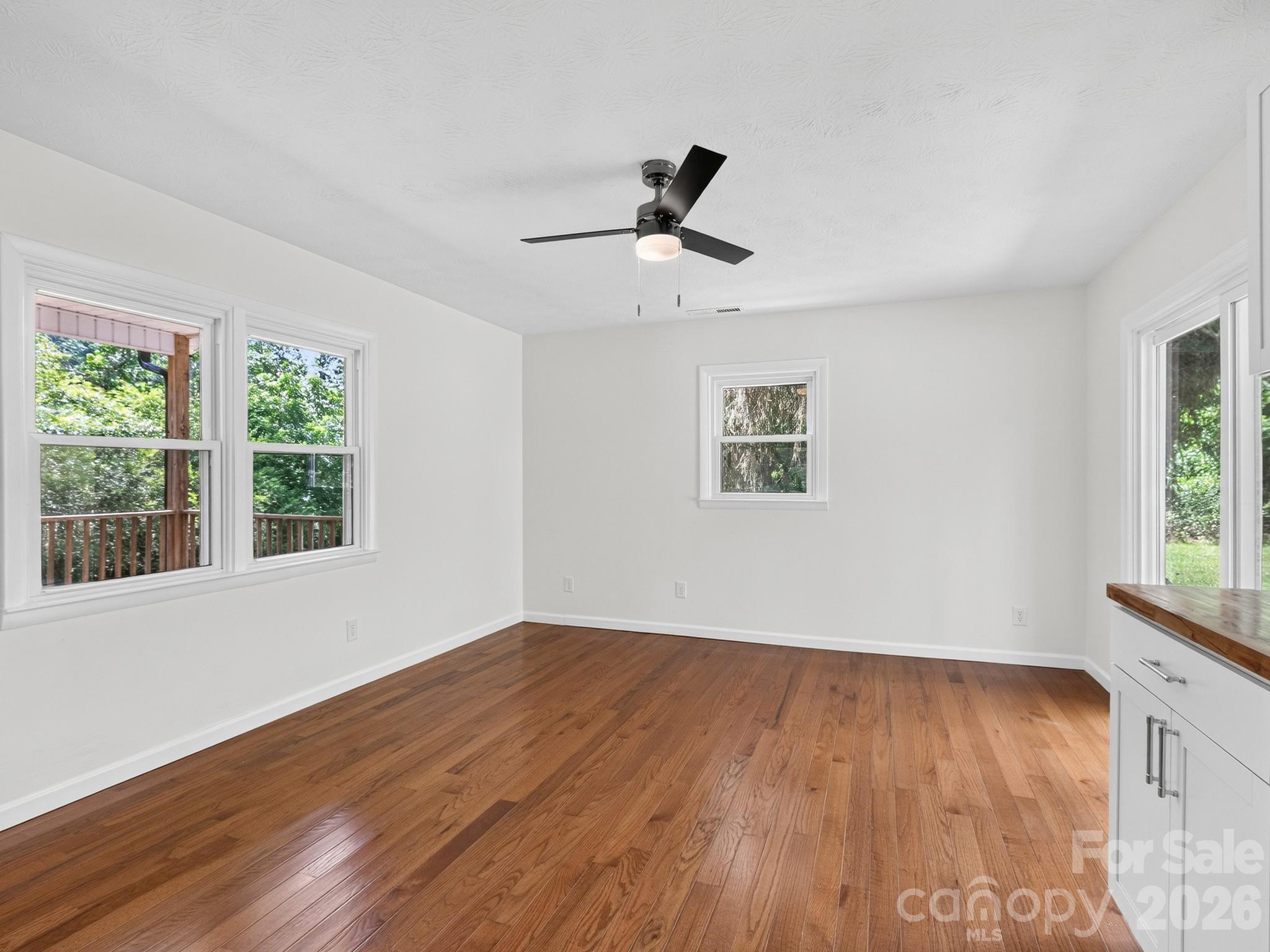 47 Carolina Mountain Drive Property Photo 6