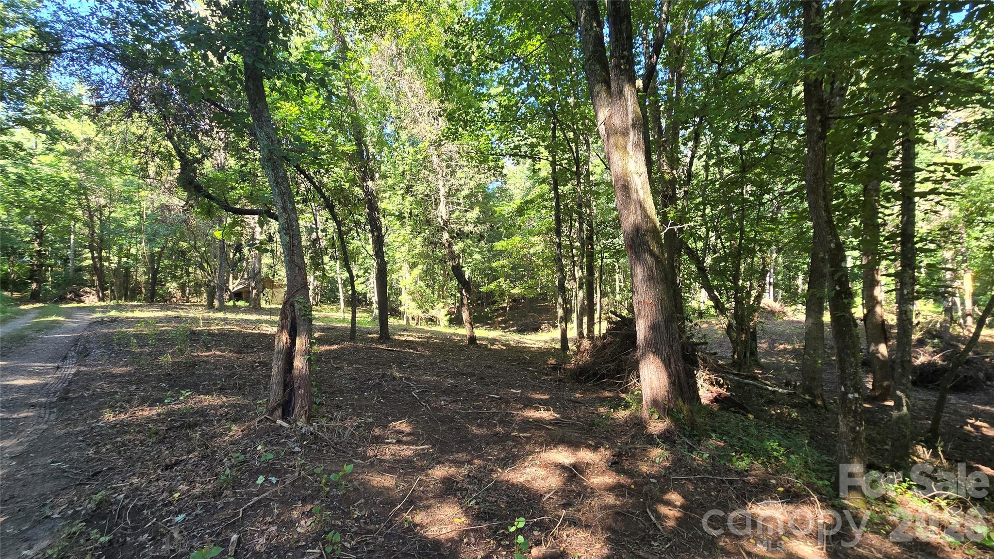 31 Burtiller Lane Property Photo 12