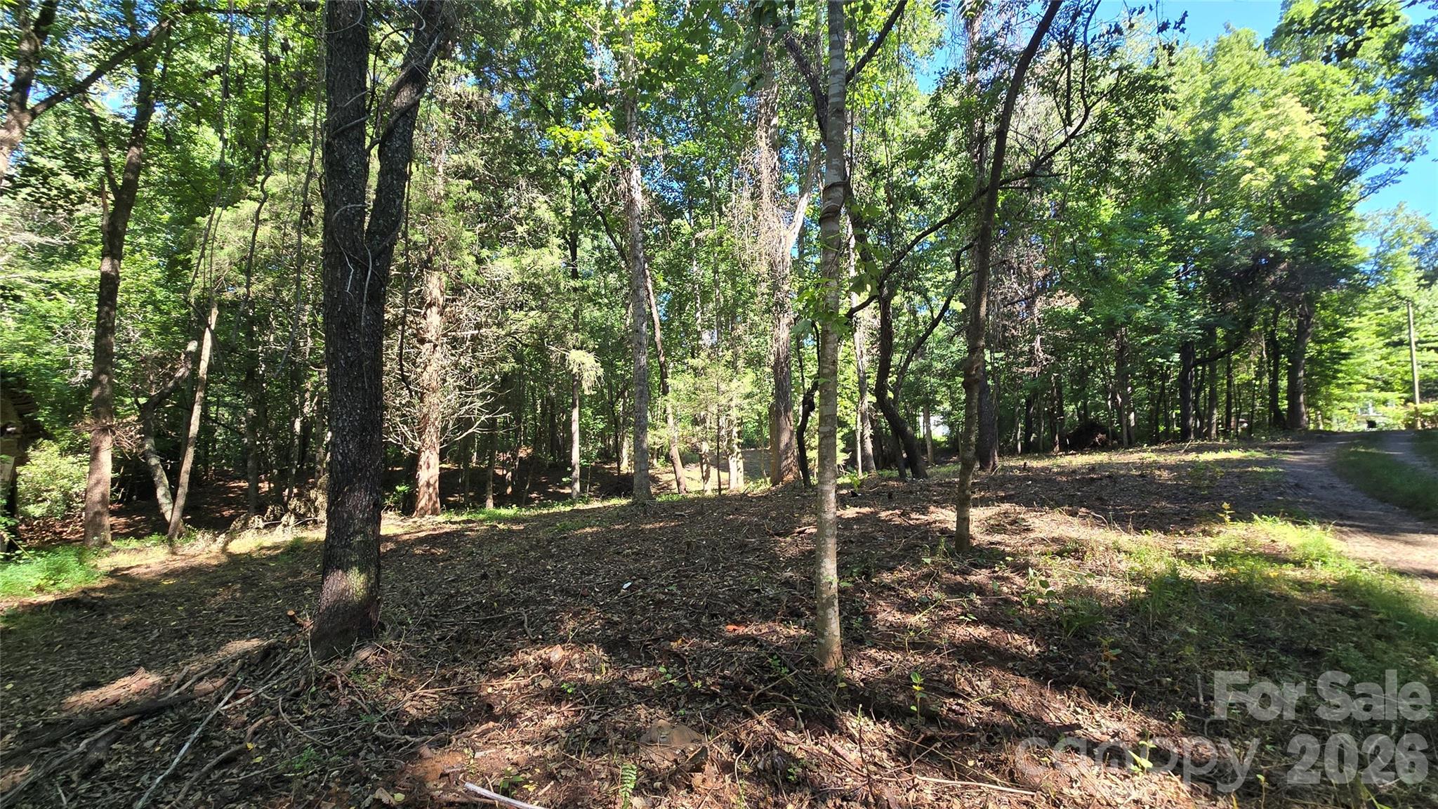 31 Burtiller Lane Property Photo 13