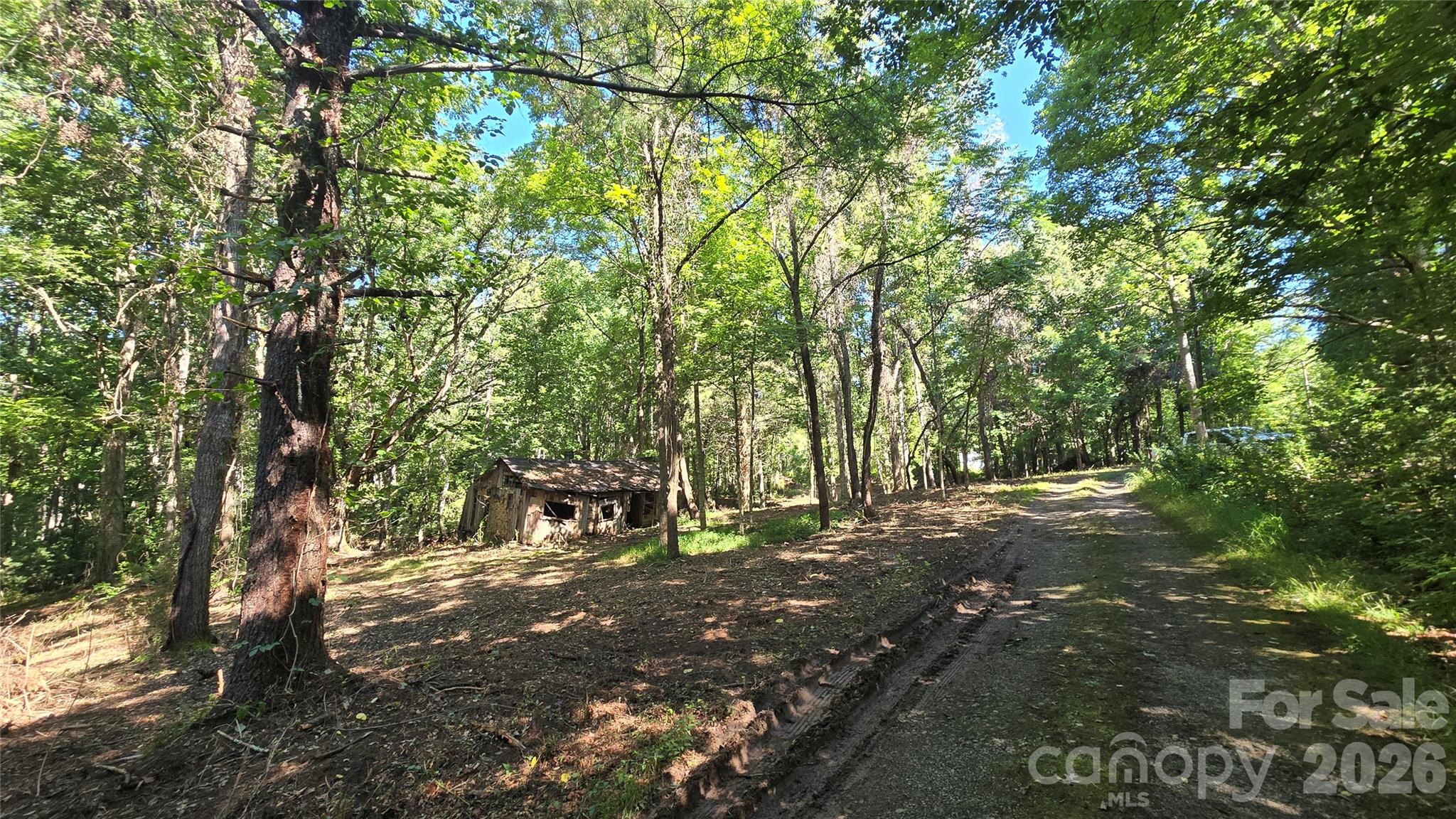 31 Burtiller Lane Property Photo 14