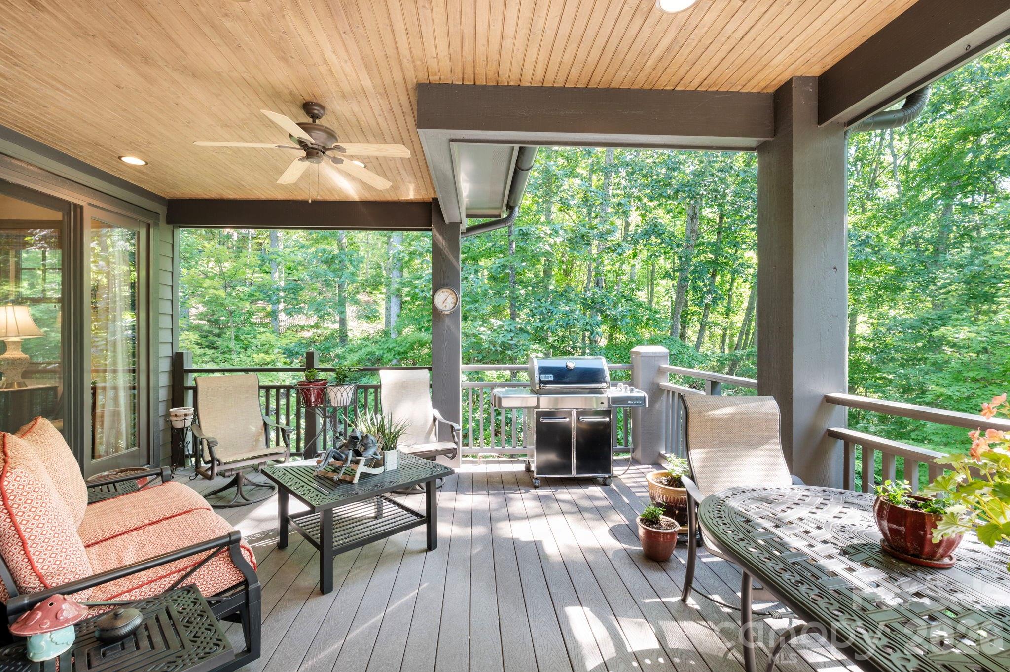 33 Hawks Branch Circle Property Photo 12