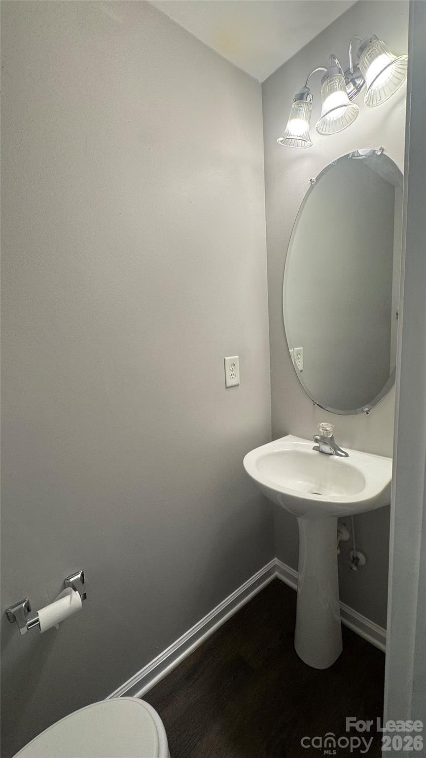 1306 Stourbridge Lion Drive Property Photo 11